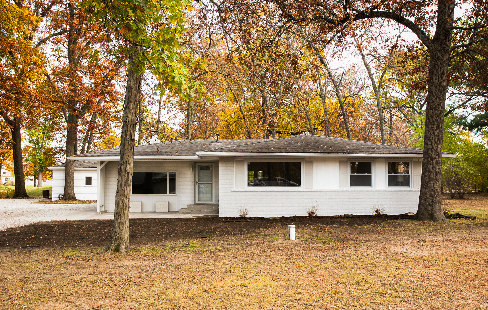 a view of a house with a large tree