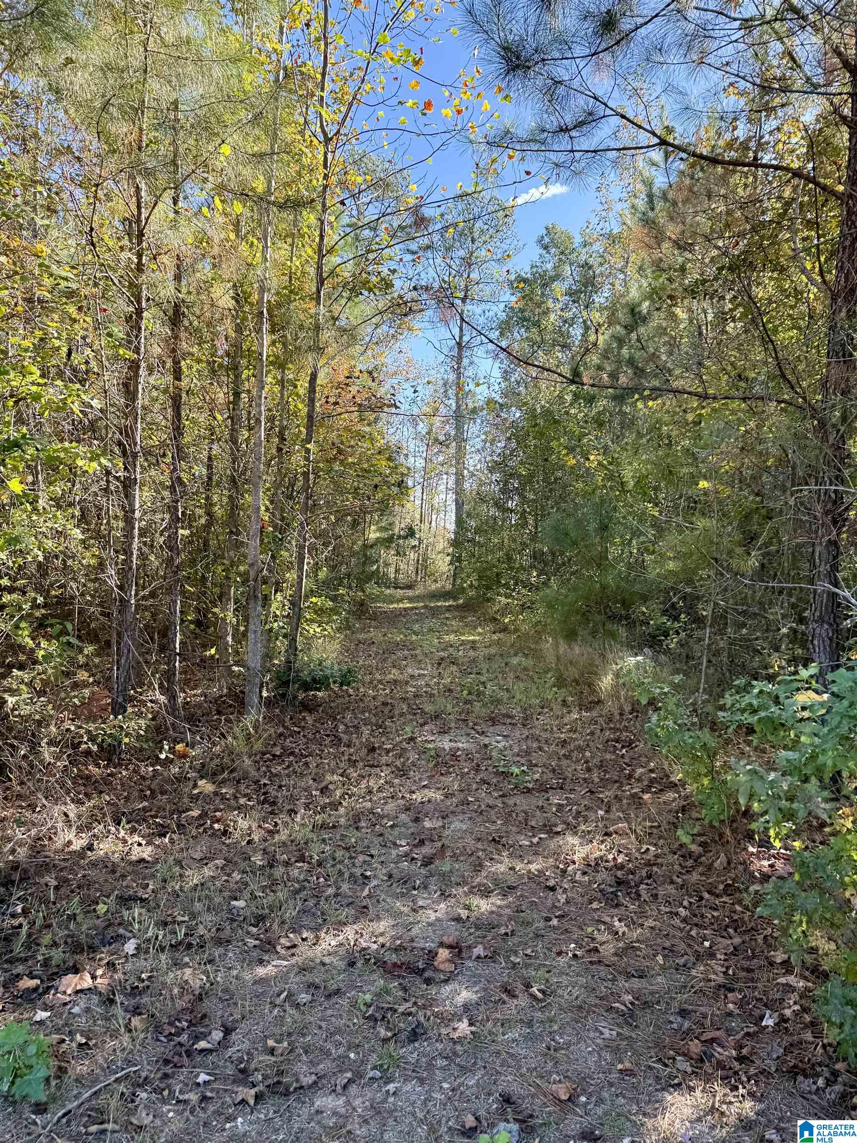 7070 Rendalia Motorway Talladega, AL 35160 - Photo 19 of 28