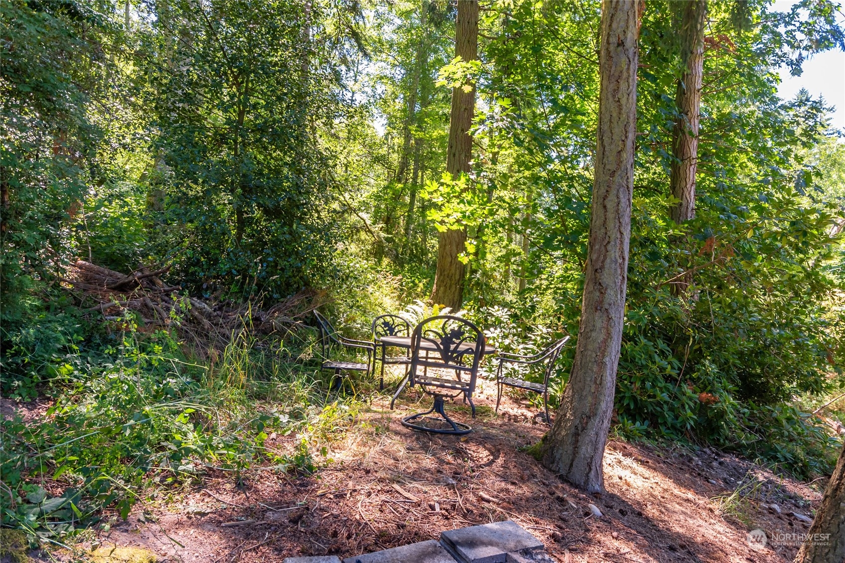 1554 East Roy Road Freeland, WA 98249 - Photo 4 of 24 a view of outdoor space and trees