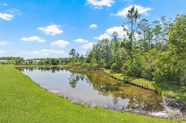 a view of a lake with a yard and a large tree