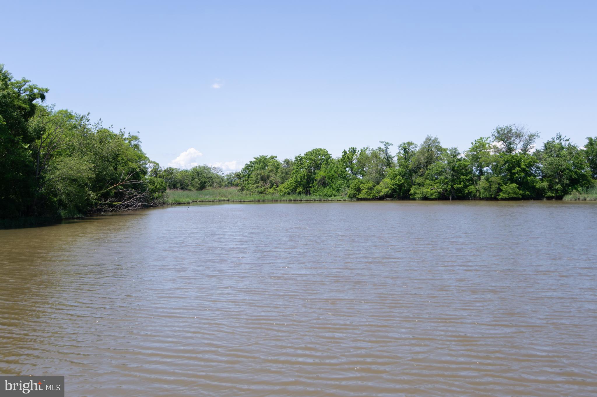 2202 Horns Point Road Cambridge, MD 21613 - Photo 10 of 74 Short boat ride to the Choptank River