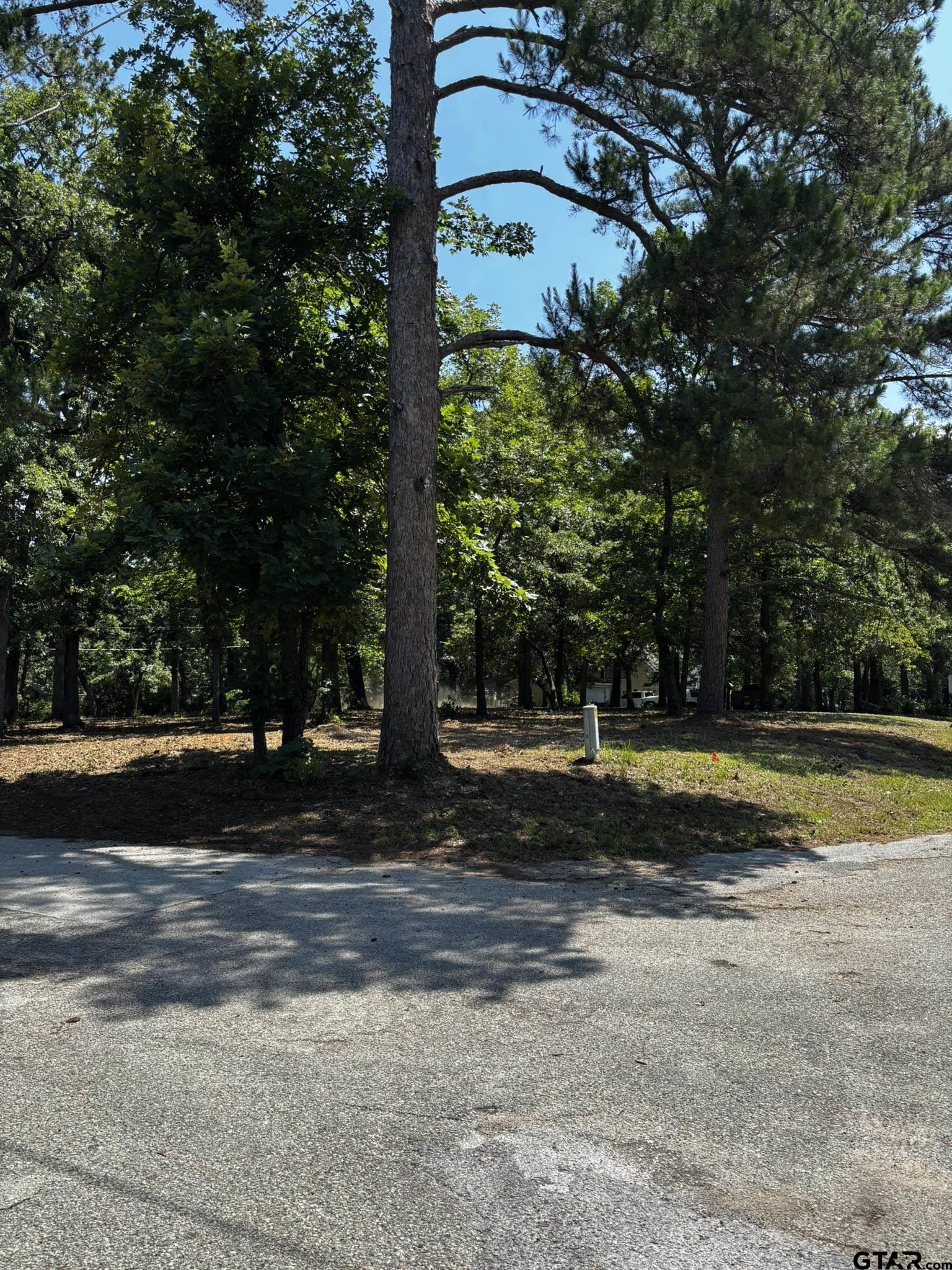21047 Virginia Road Flint, TX 75762 - Photo 3 of 3 a view of a yard with large trees