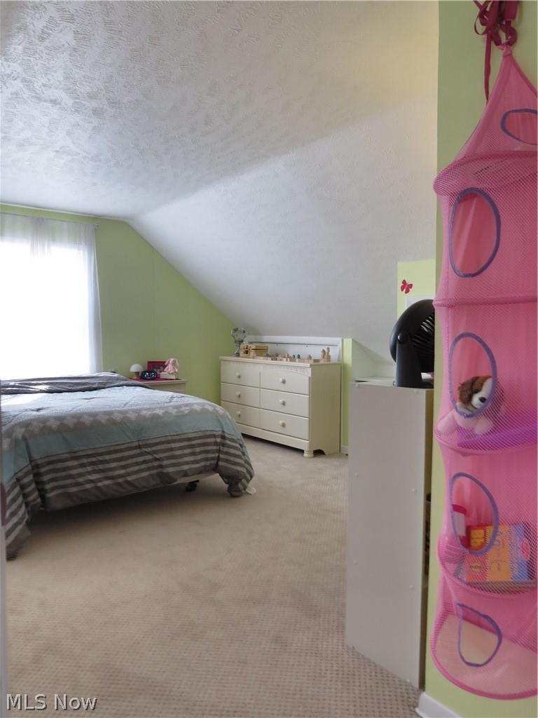 2006 Lorimer Road Cleveland, OH 44134 - Photo 16 of 35