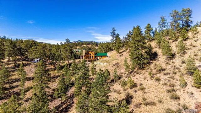 a view of a city with lush green forest