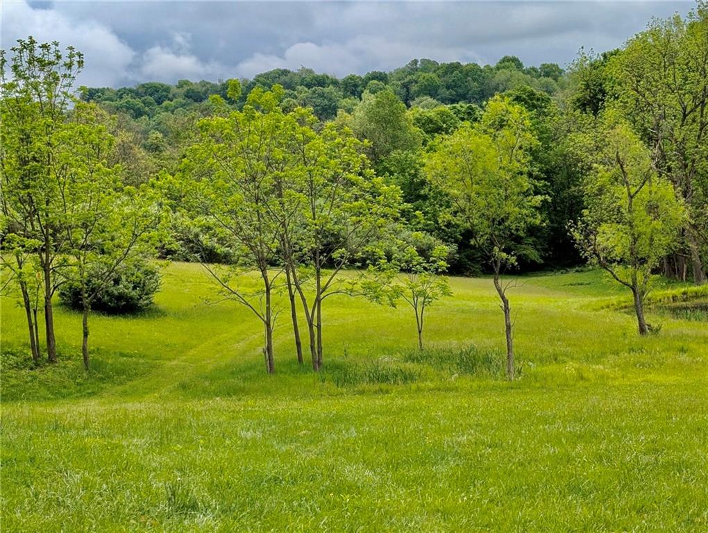 Lot 4 A Sugar Run Road Eighty Four, PA 15330 - Photo 2 of 15