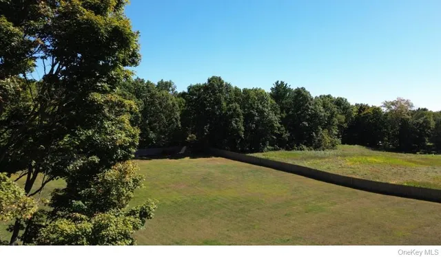 a view of a yard with a tree