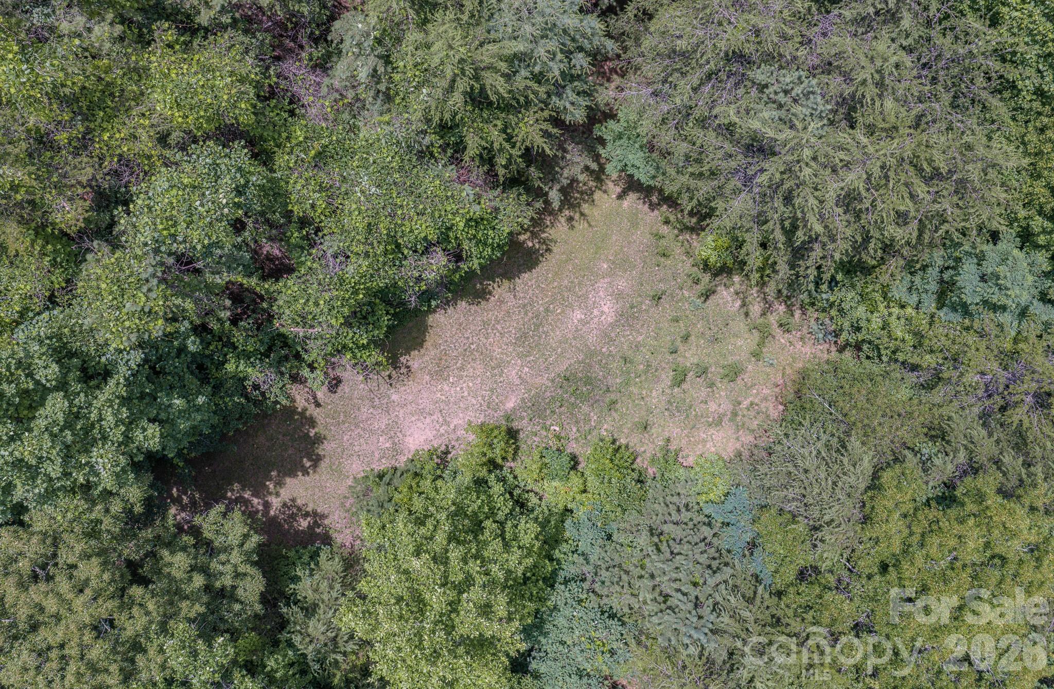 35 Coweeta Ridge Otto, NC 28763 - Photo 44 of 48