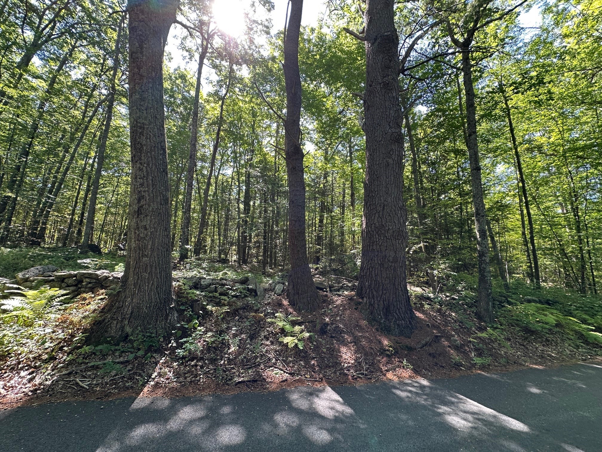 0 Nichewaug Road Petersham, MA 01366 - Photo 2 of 6 Gallery Image 2