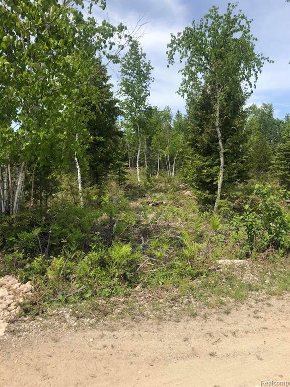 33882 South Dix Point Road Drummond Island, MI 49726 - Photo 18 of 19