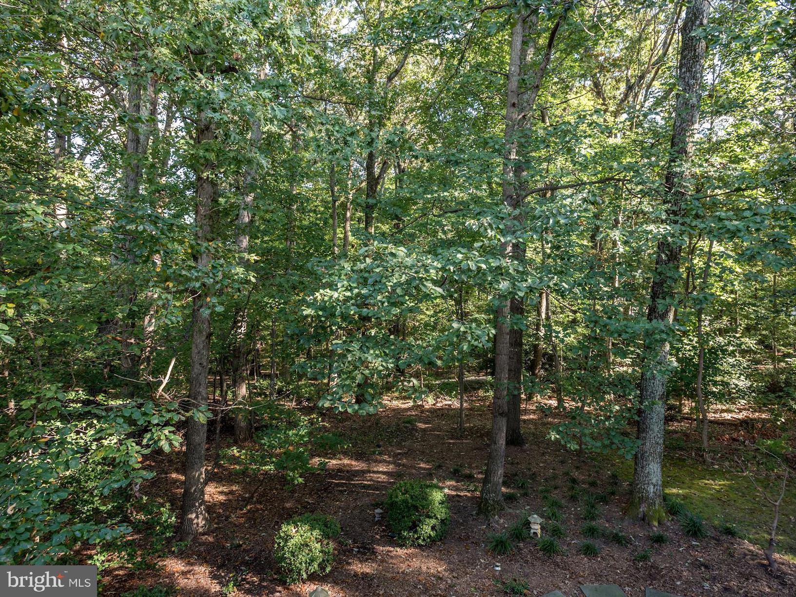 12124 Quorn Lane Reston, VA 20191 - Photo 20 of 24 View Rear