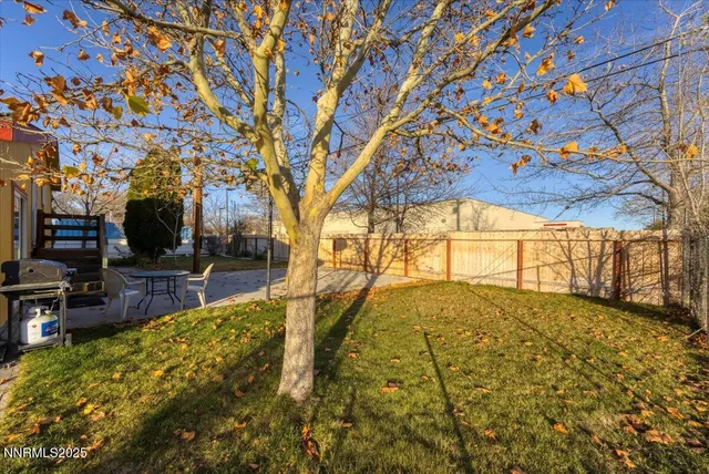 a view of yard with tree