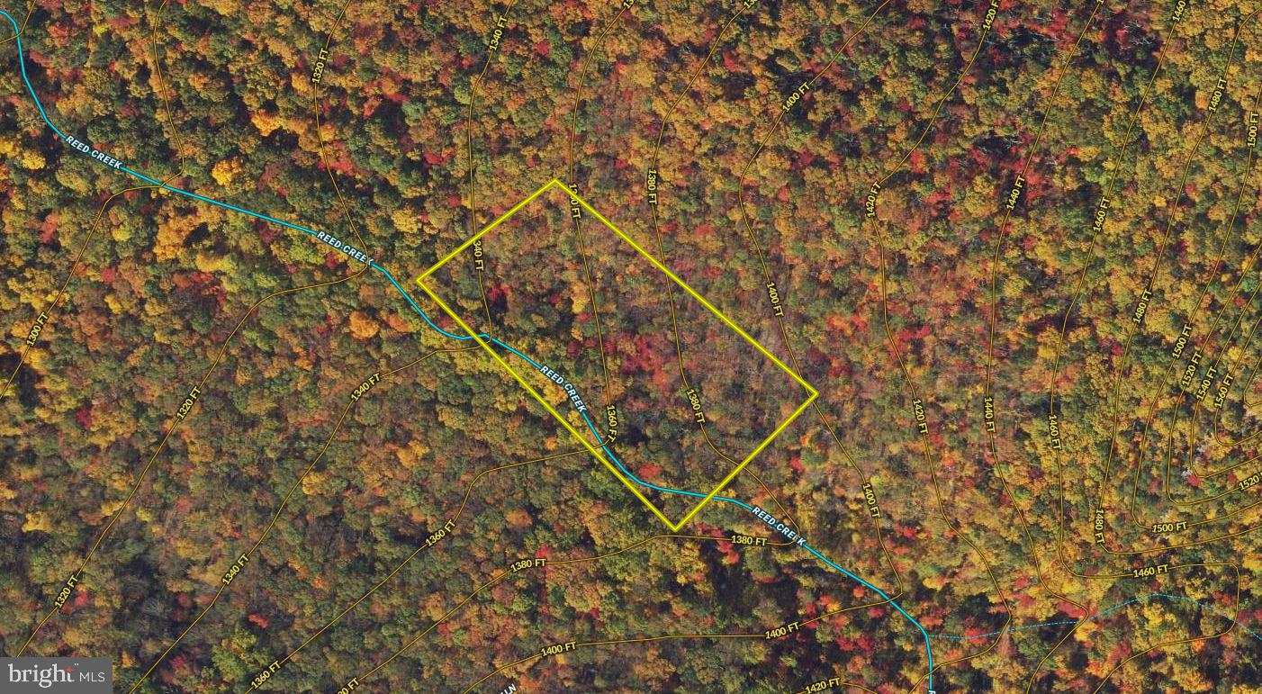 Forest Lane Gore, VA 22637 - Photo 14 of 17