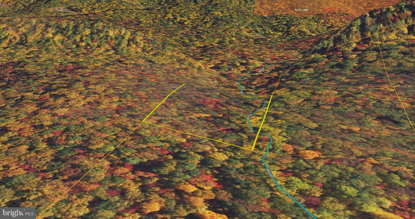 Forest Lane Gore, VA 22637 - Photo 17 of 17 a view of a tree