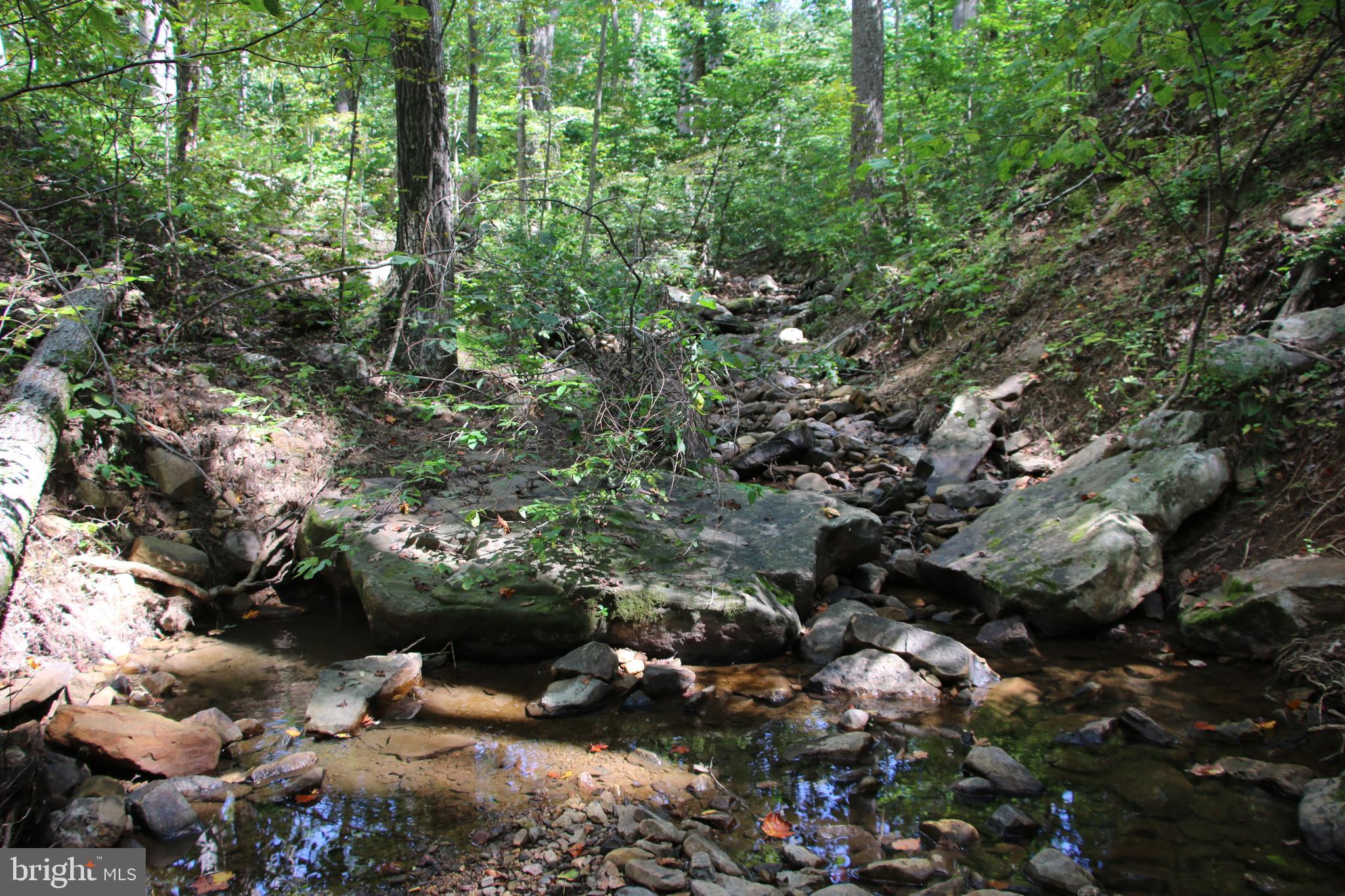 Forest Lane Gore, VA 22637 - Photo 3 of 17 a view of a tree with lots of trees