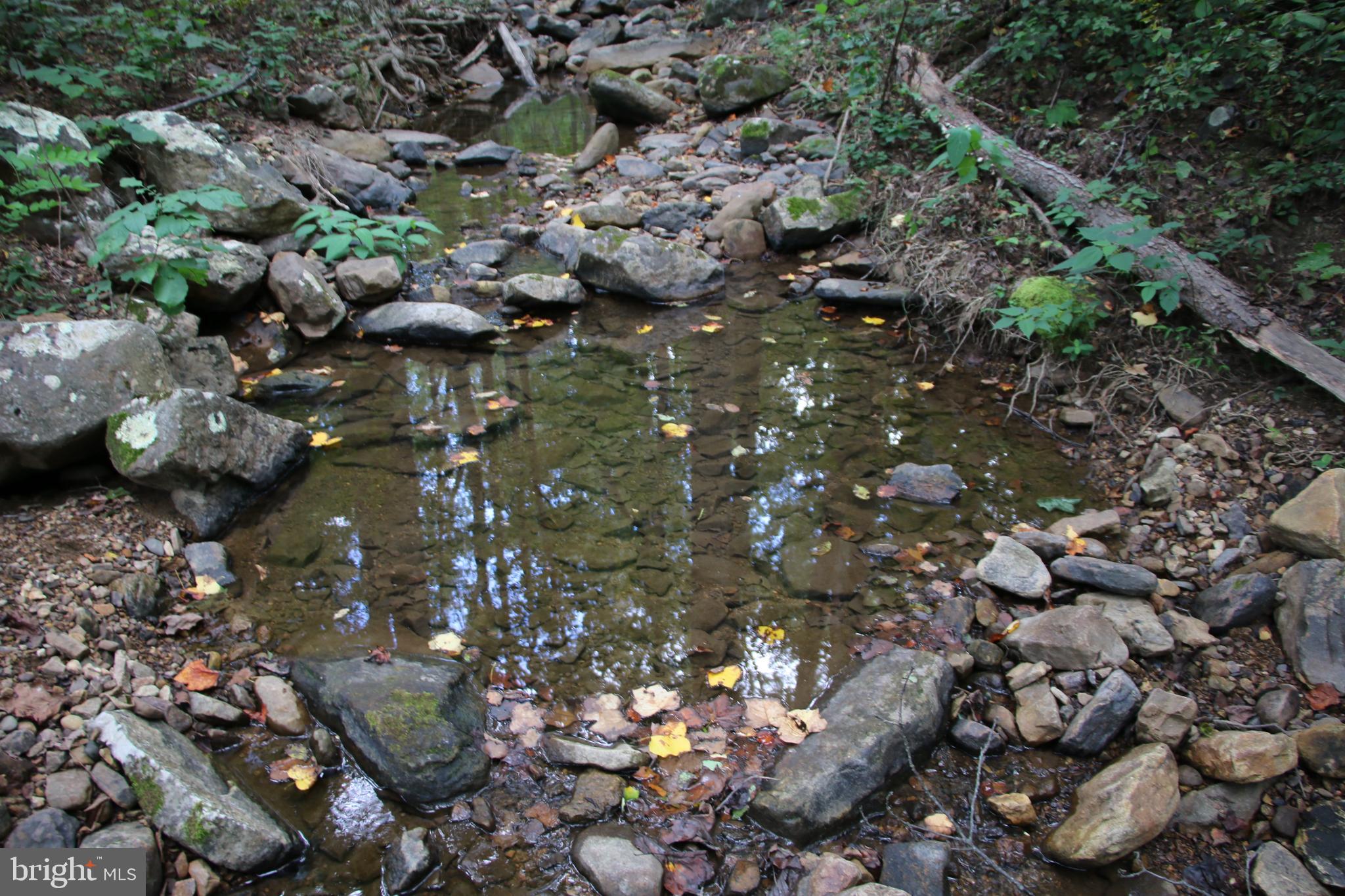 Forest Lane Gore, VA 22637 - Photo 5 of 17