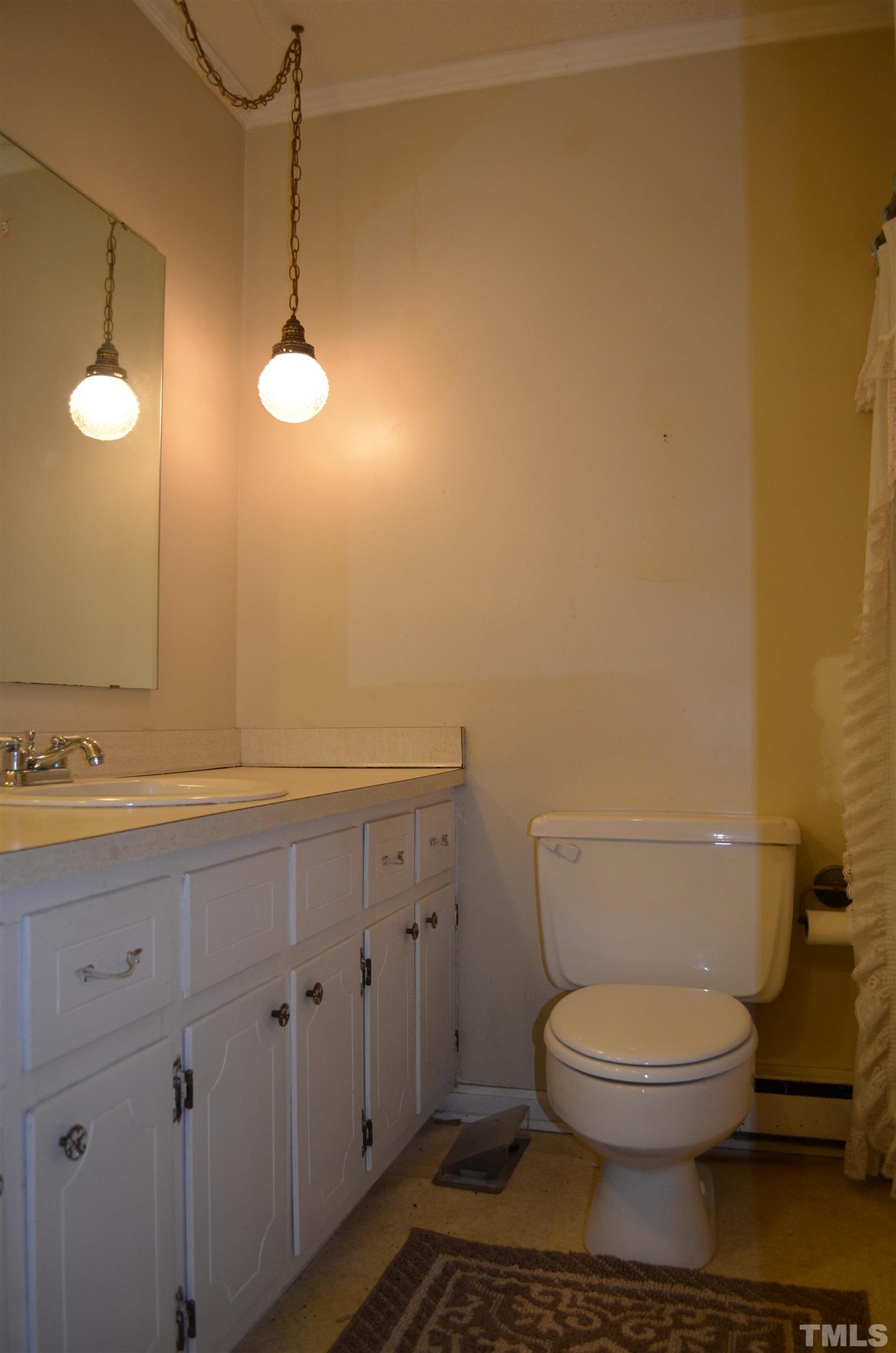 123 Joe Brown Road Bear Creek, NC 27207 - Photo 13 of 32 a bathroom with a toilet a sink and mirror