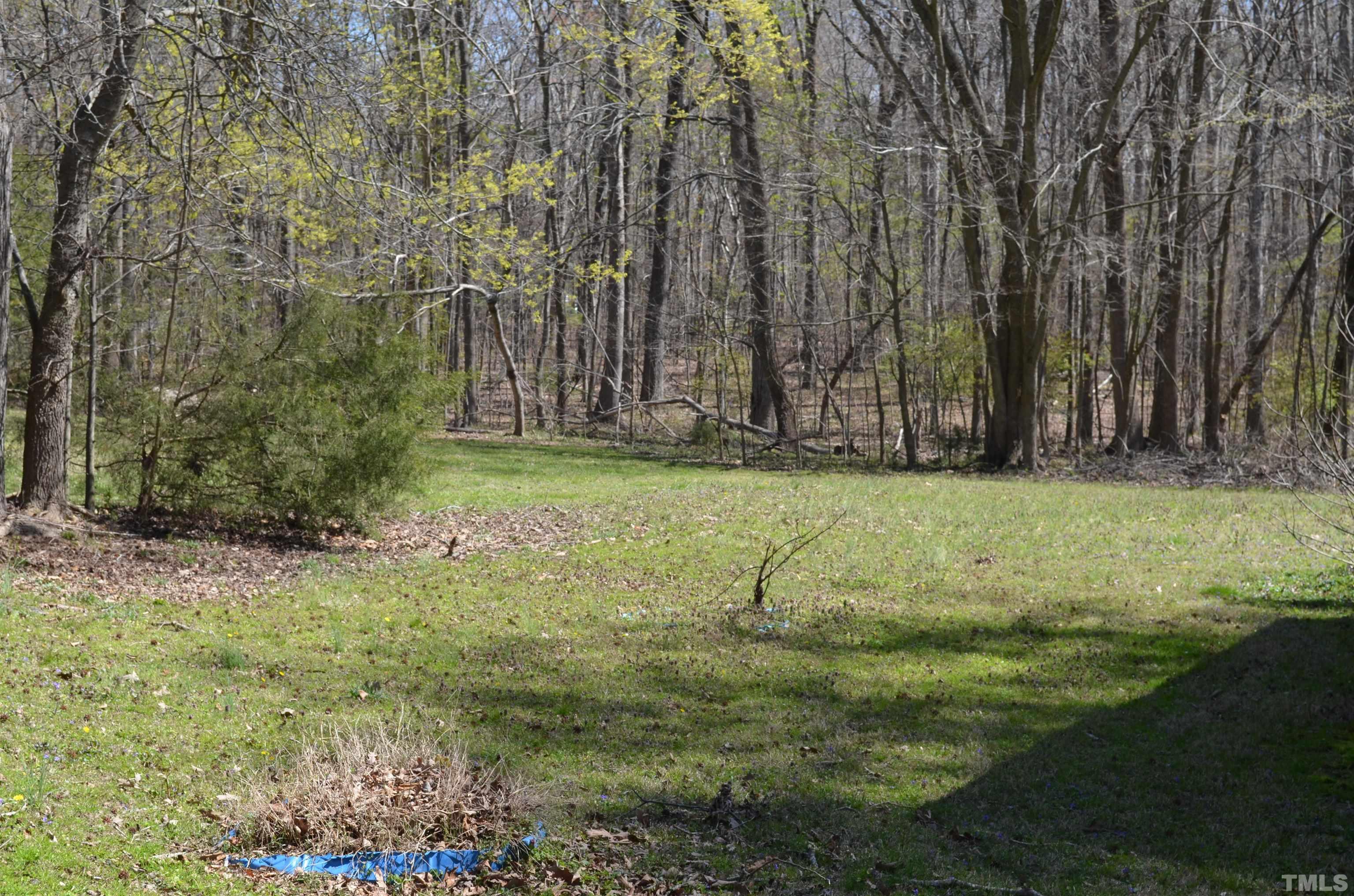 123 Joe Brown Road Bear Creek, NC 27207 - Photo 20 of 32 a view of a yard with large trees