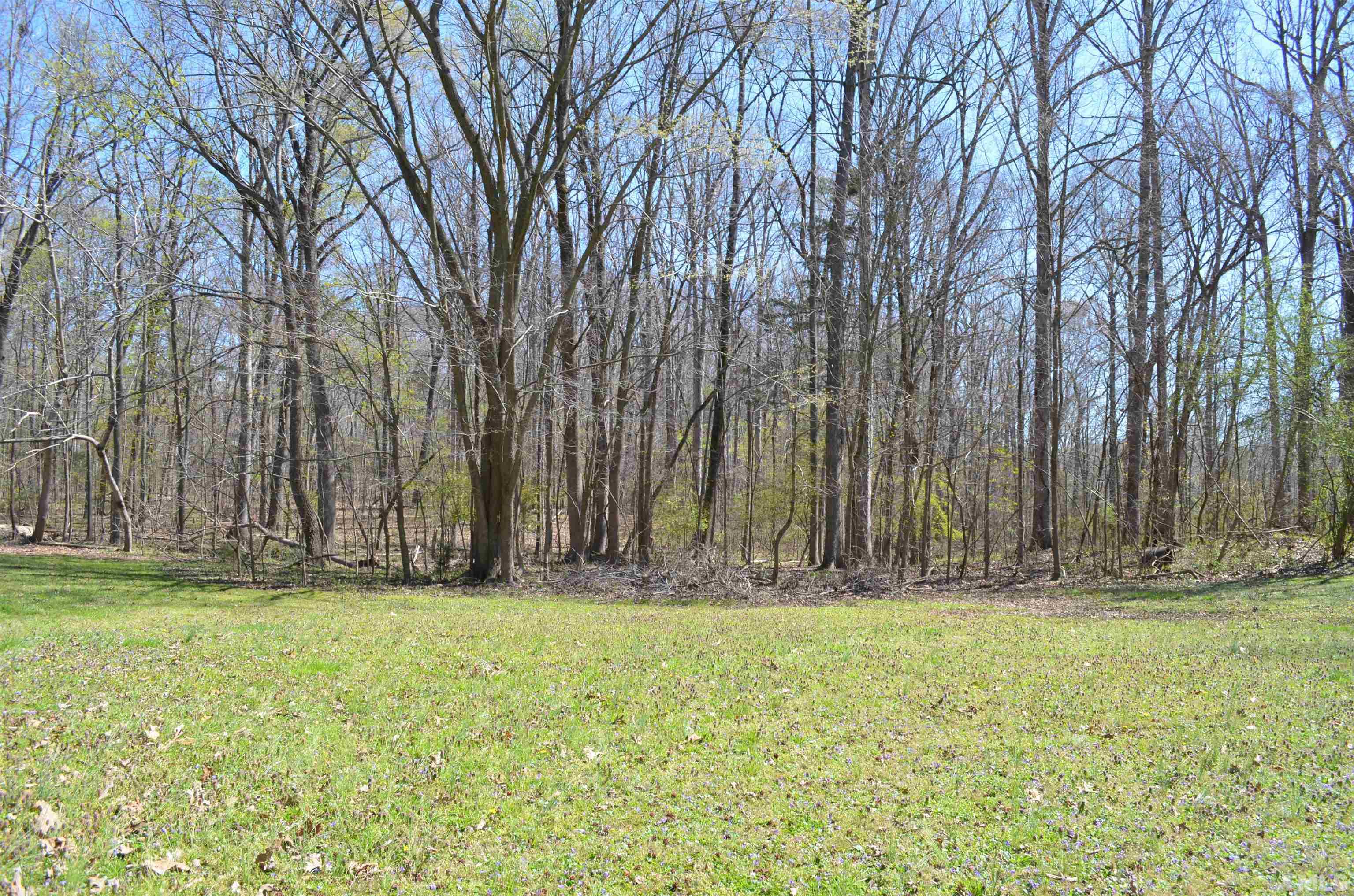 123 Joe Brown Road Bear Creek, NC 27207 - Photo 22 of 32 a view of yard with trees in the background