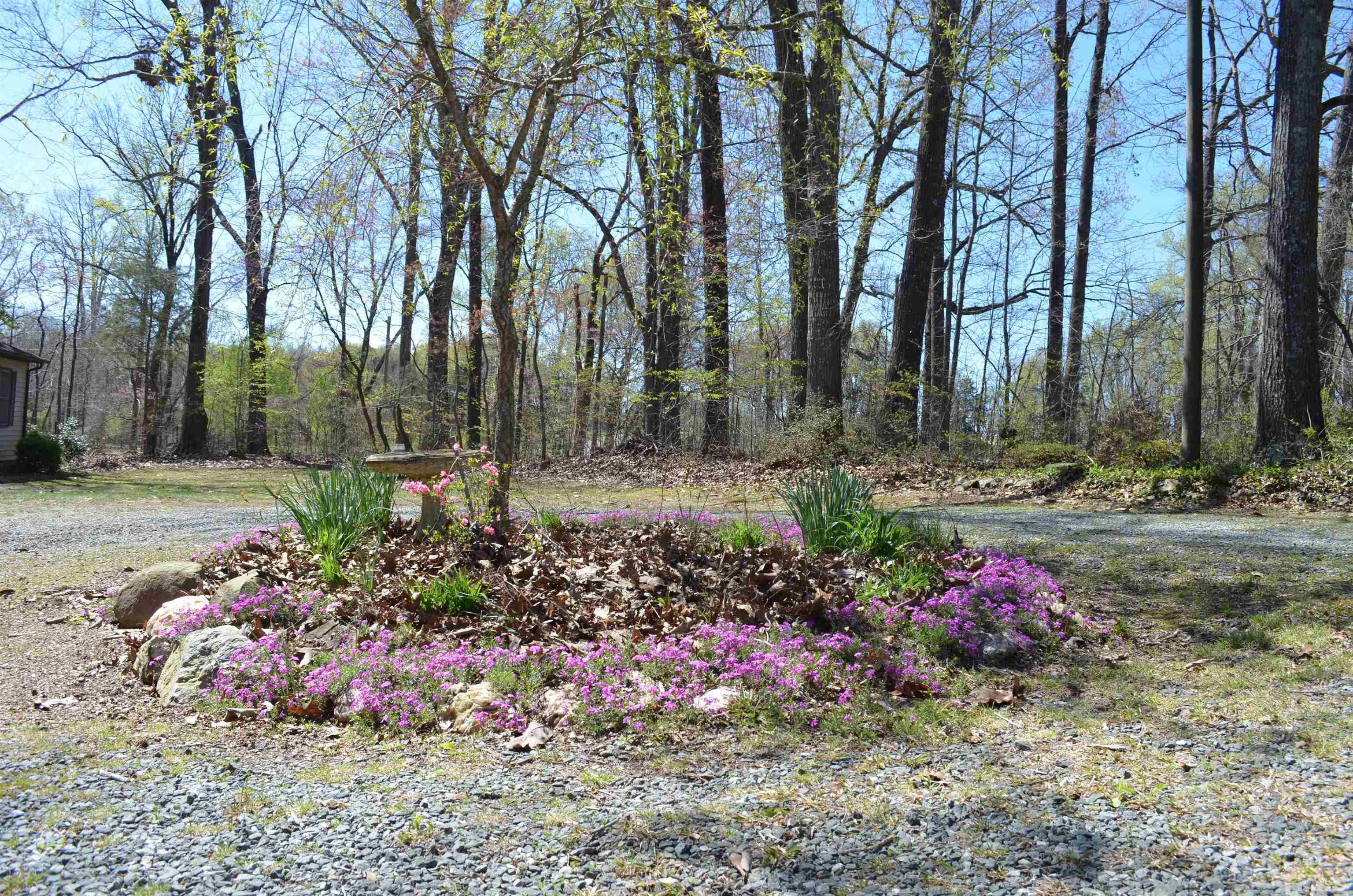 123 Joe Brown Road Bear Creek, NC 27207 - Photo 30 of 32 a view of a pathway with a yard