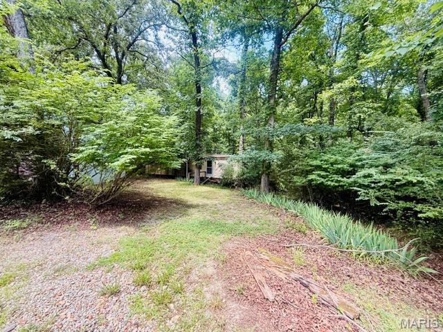 88 Rochester Lane Wappapello, MO 63966 - Photo 13 of 53