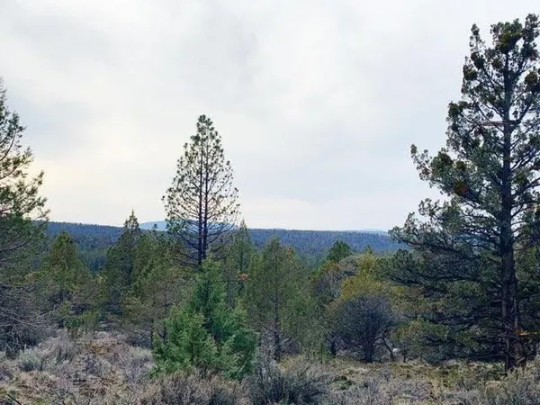 $45,000 | 0 Widgeon Drive, Unit LOTS 1 2 & 3, Bonanza, OR 97623