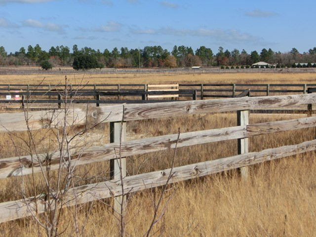 F & G Pickett Post Road Windsor, SC 29856 - Photo 18 of 18
