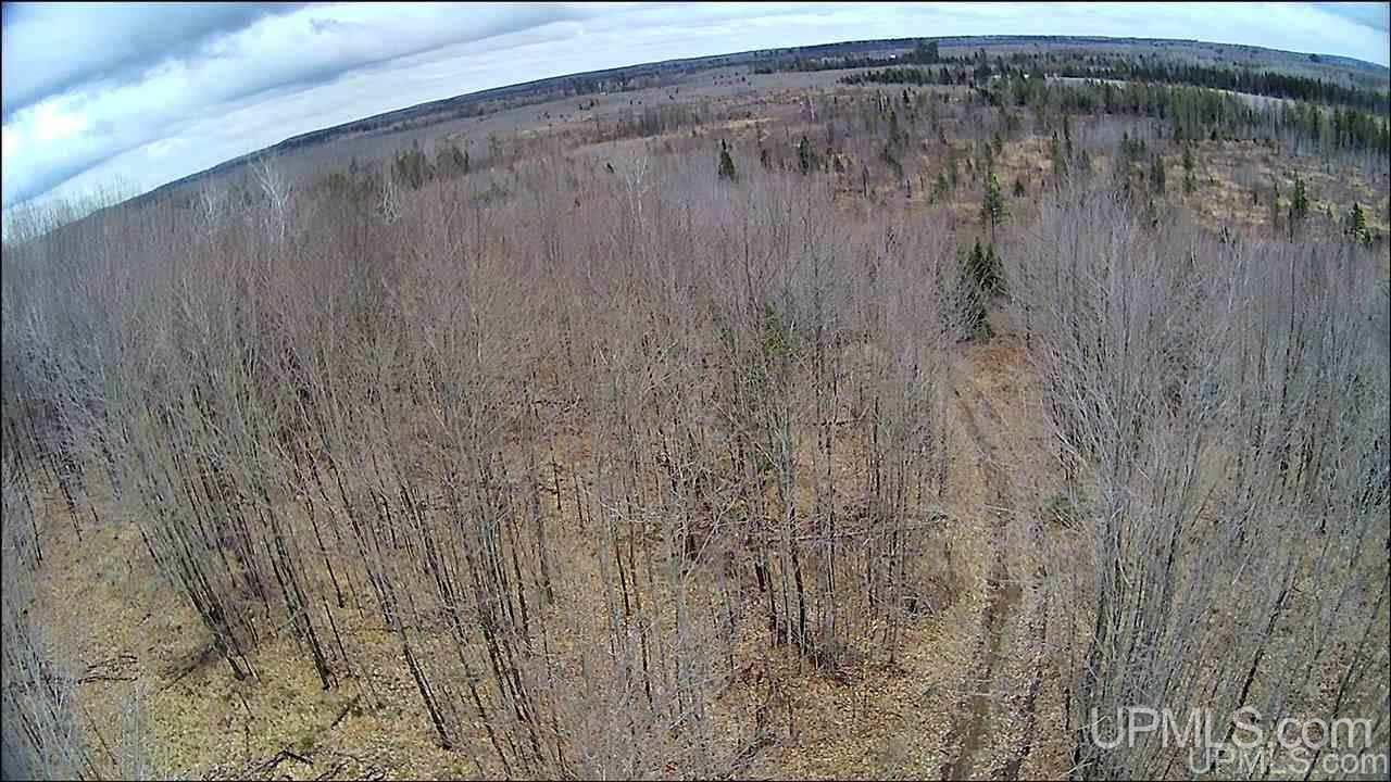 Tbd Murray Road, Unit 2 Perronville, MI 49873 - Photo 3 of 32