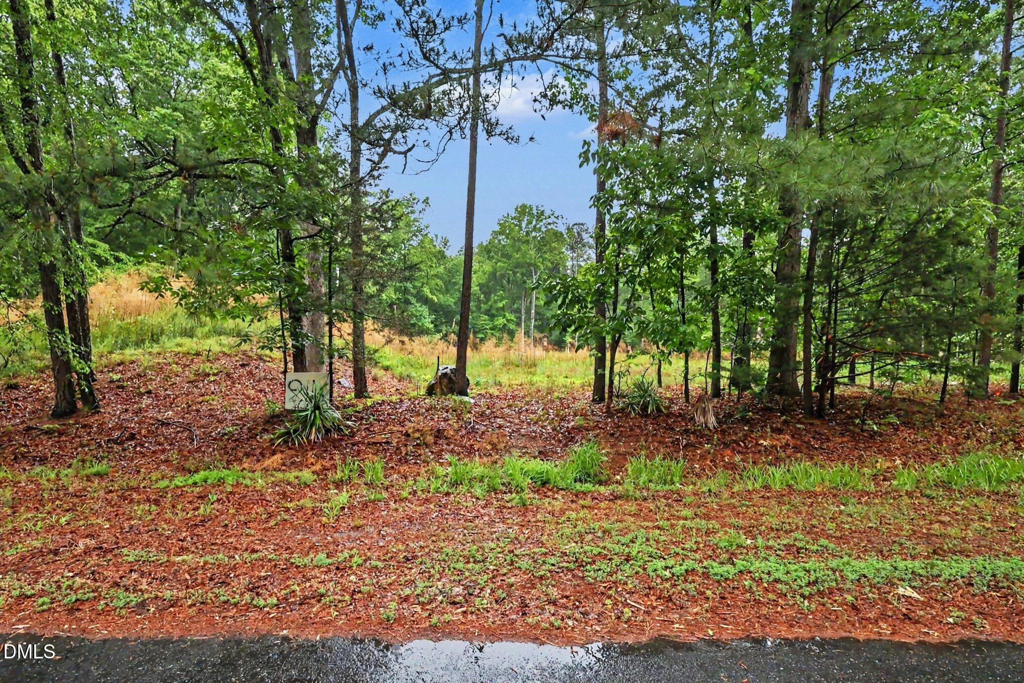 2116 Forest Ridge Place Durham, NC 27705 - Photo 3 of 19 003_file_8745