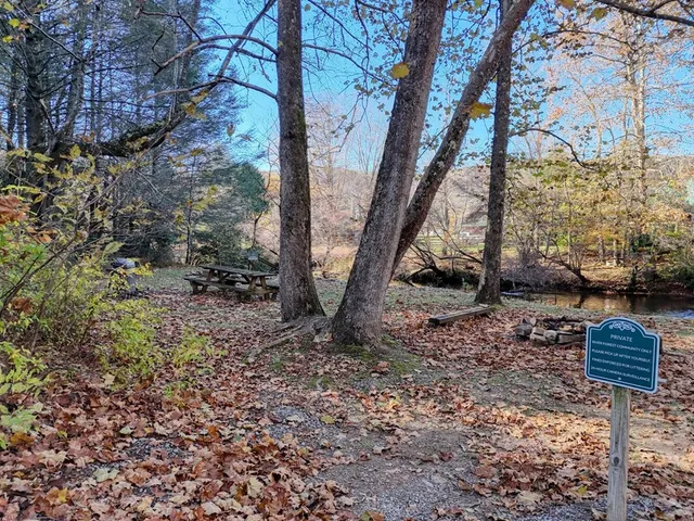 a view of street with trees