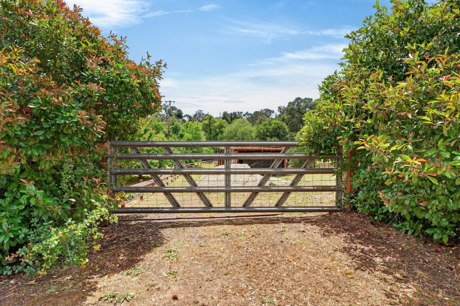 4920 Upson Downs Road Newcastle, CA 95658 - Photo 93 of 98 Second entry gate near the fruit orchard & pool