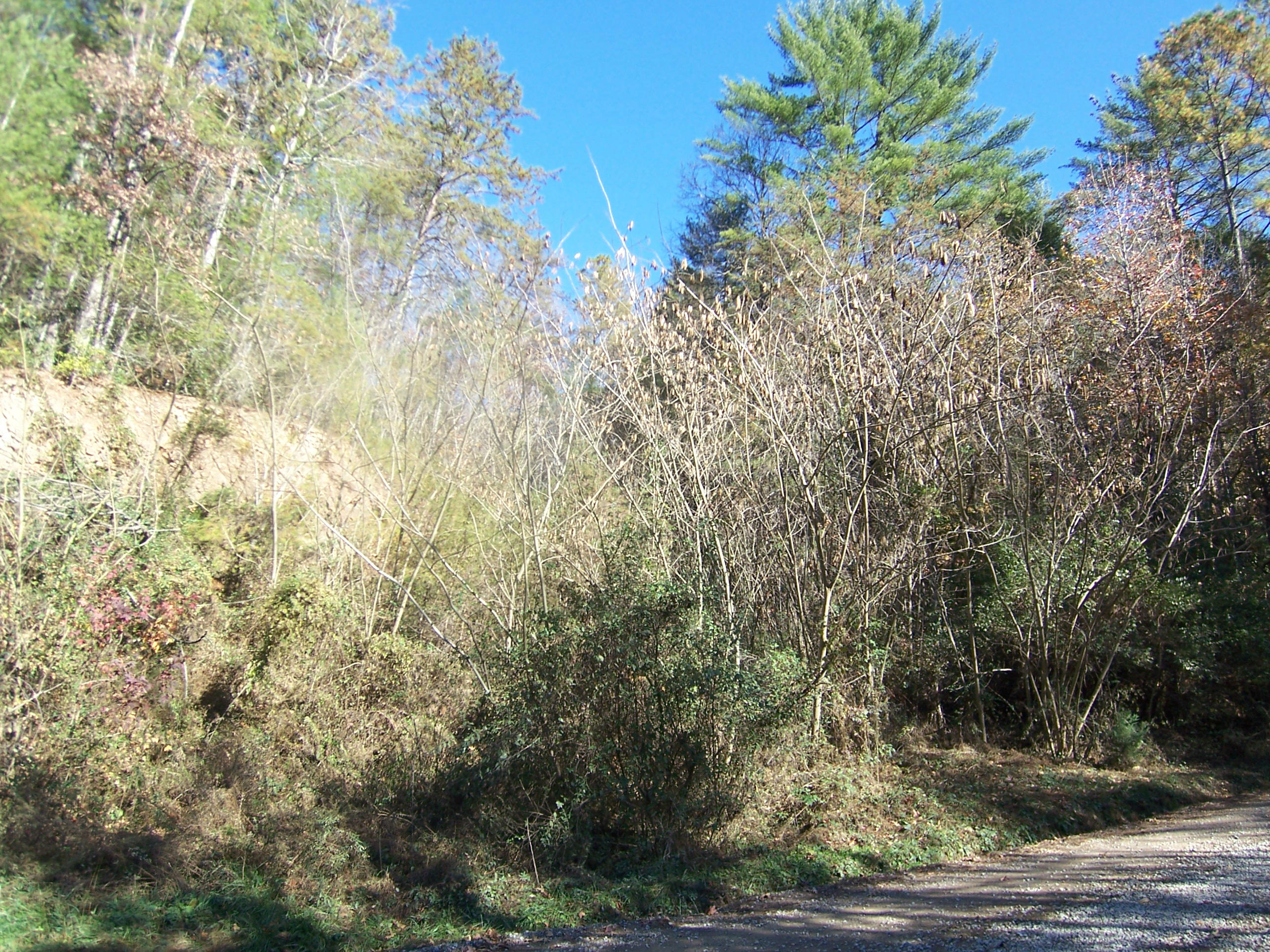 watersend road_00