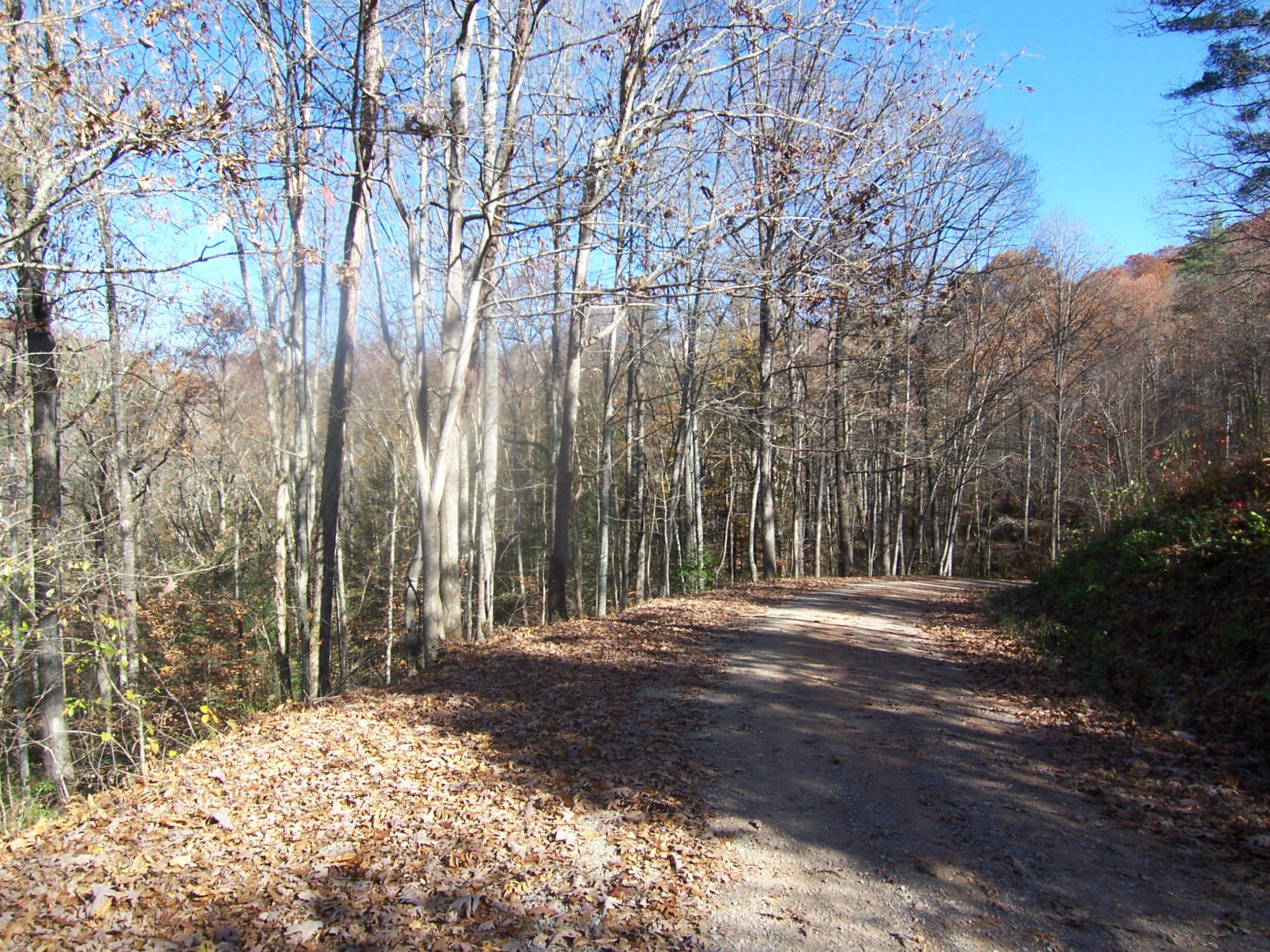 watersend road_02