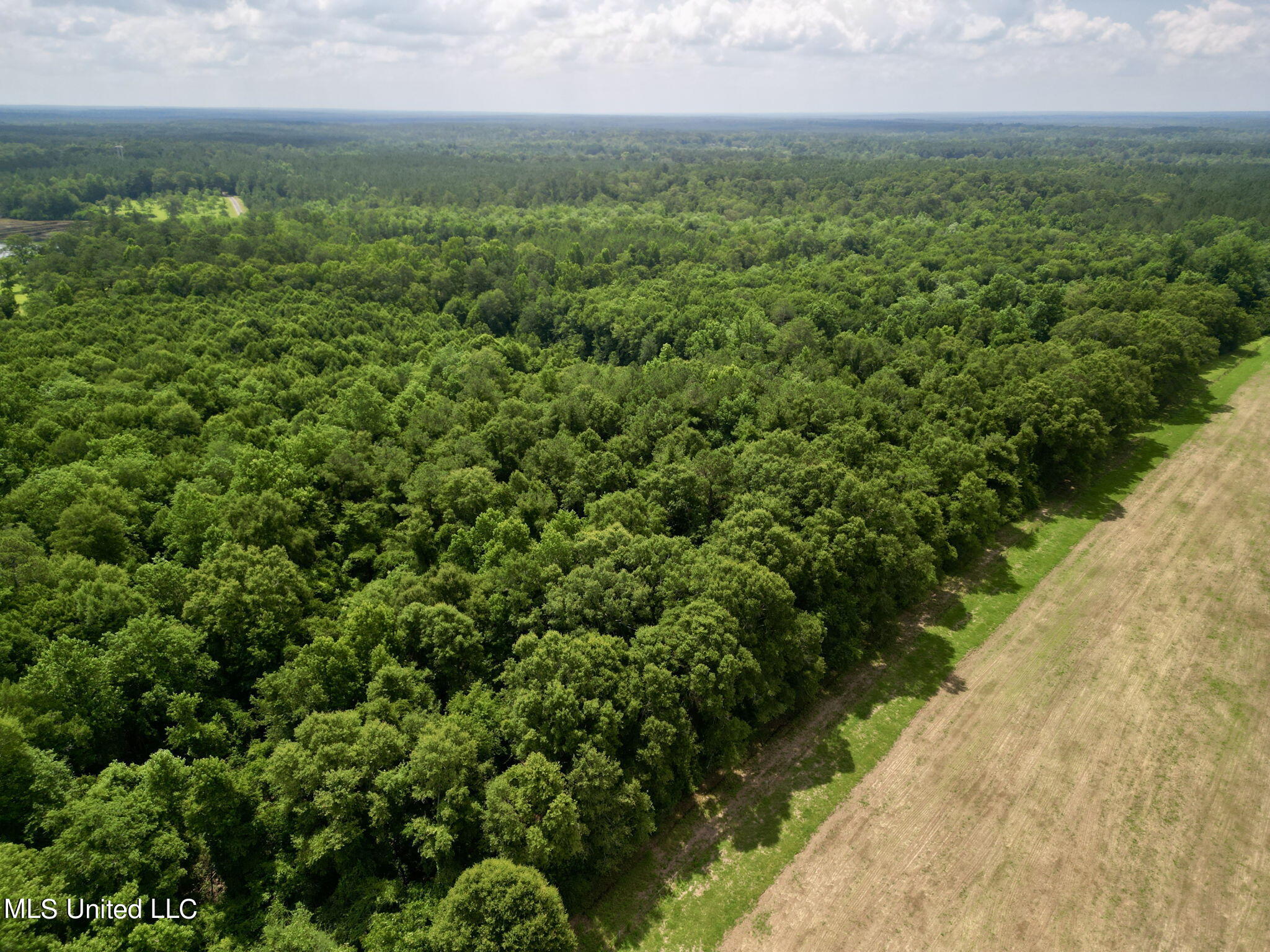 75 Eviction Road Lumberton, MS 39455 - Photo 13 of 29 13-web-or-mls-DJI_0825