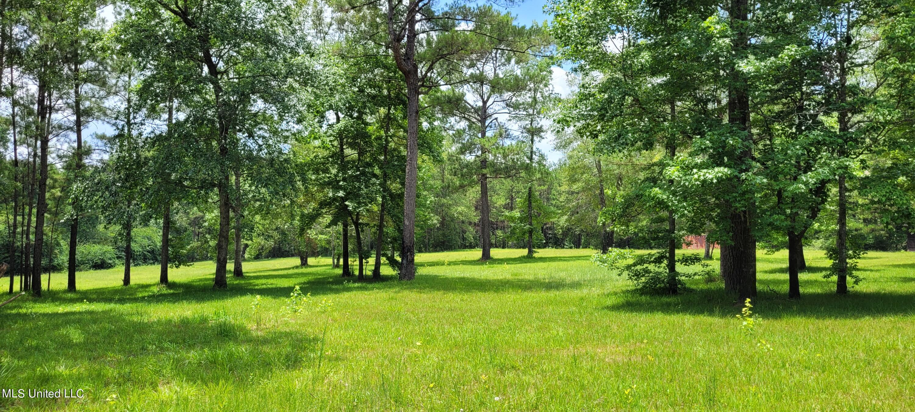 75 Eviction Road Lumberton, MS 39455 - Photo 25 of 29 20230619_122932