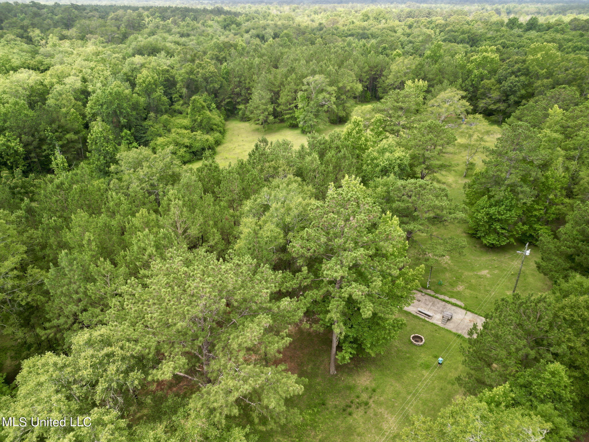 75 Eviction Road Lumberton, MS 39455 - Photo 4 of 29 4-web-or-mls-DJI_0815