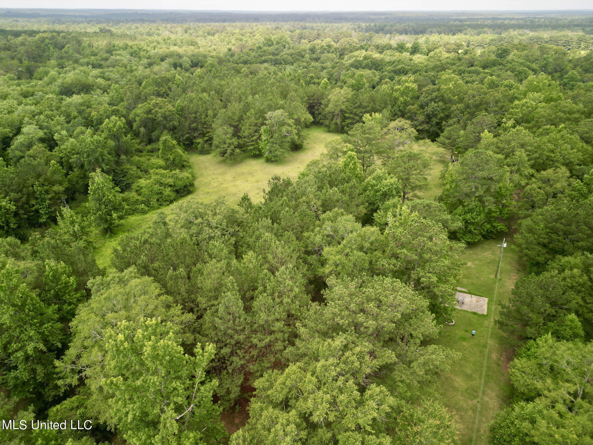 75 Eviction Road Lumberton, MS 39455 - Photo 5 of 29 5-web-or-mls-DJI_0816