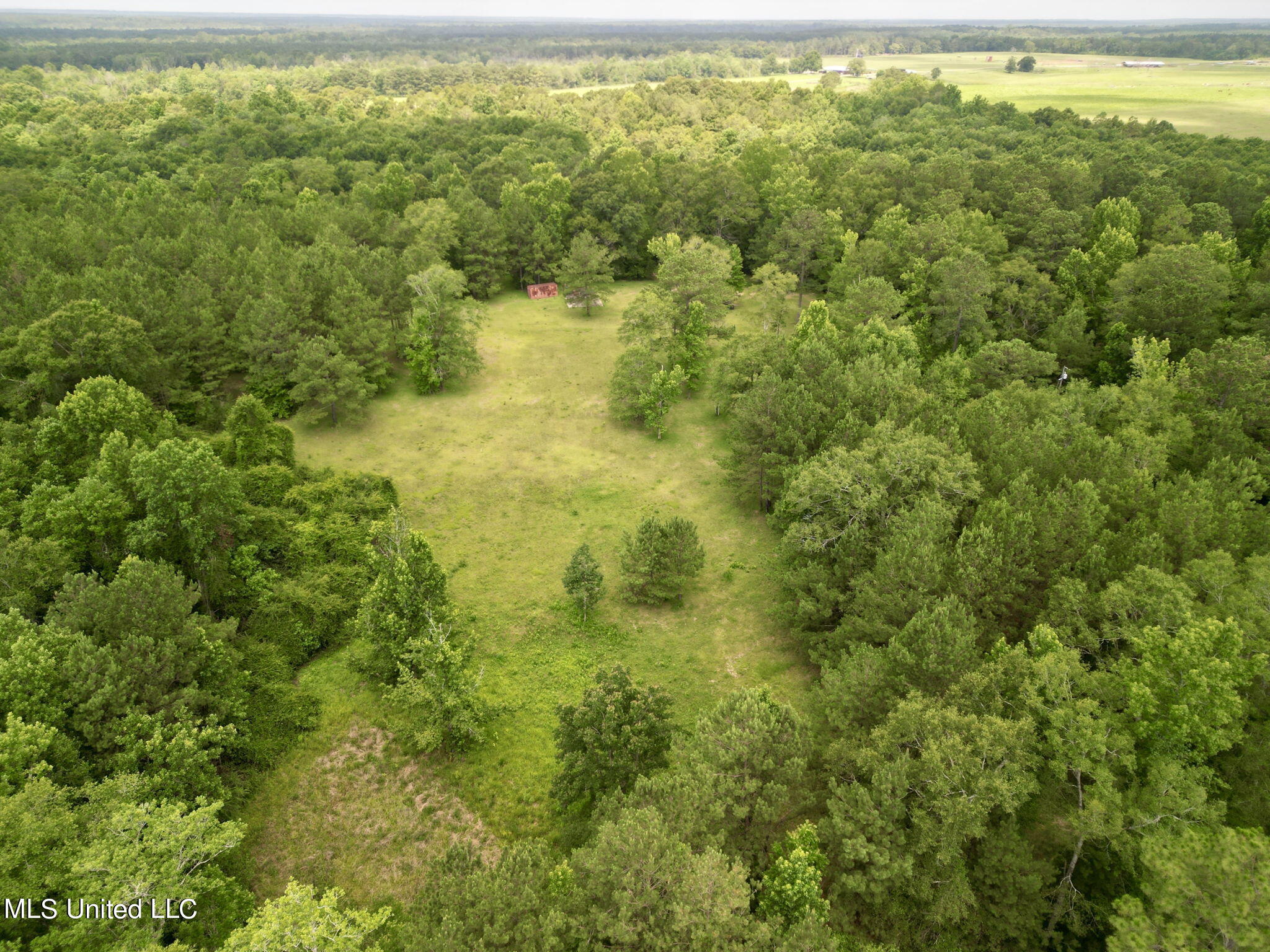 75 Eviction Road Lumberton, MS 39455 - Photo 6 of 29 6-web-or-mls-DJI_0817