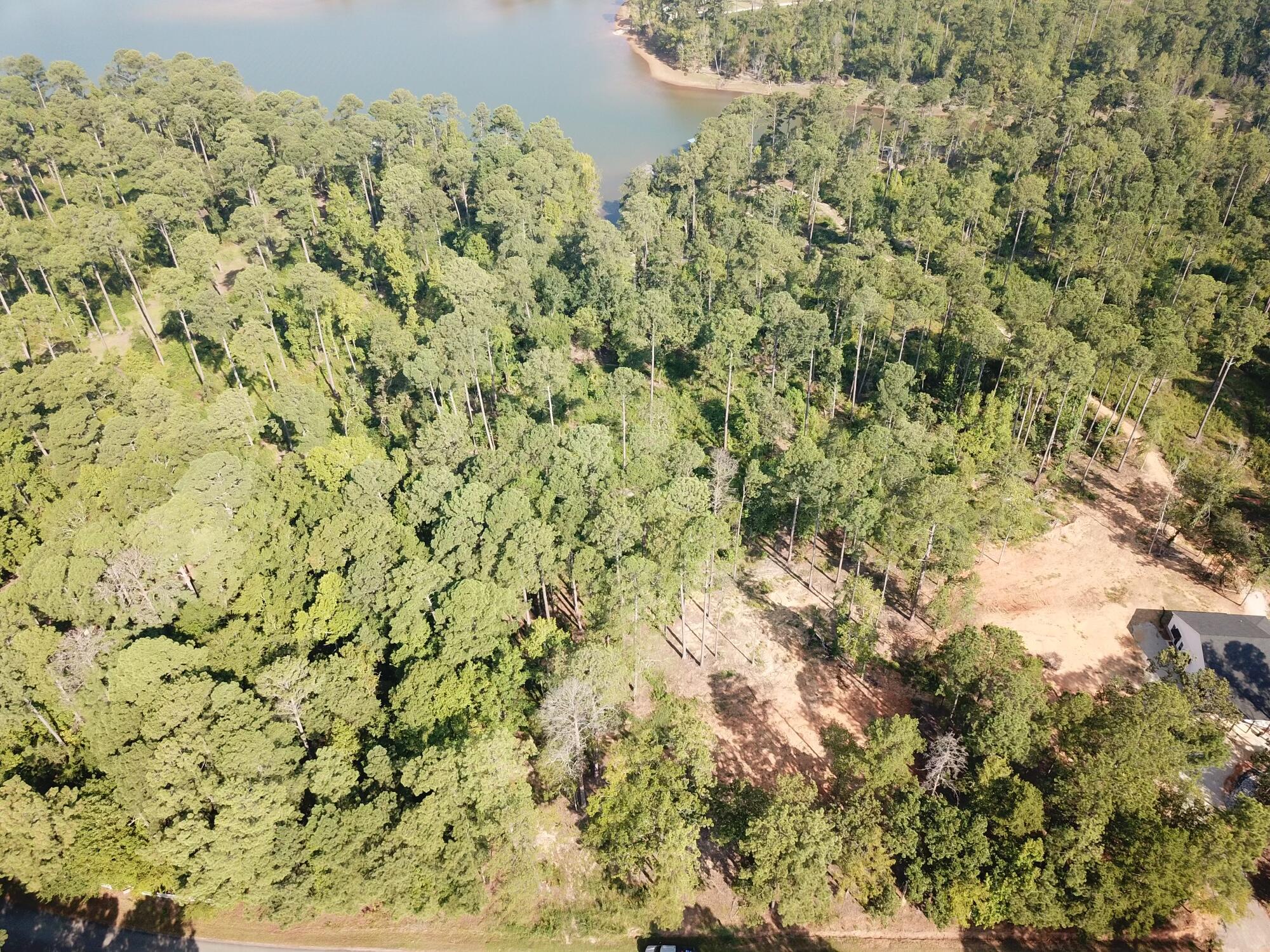 Tbd Cedar Road Plum Branch, SC 29845 - Photo 2 of 11