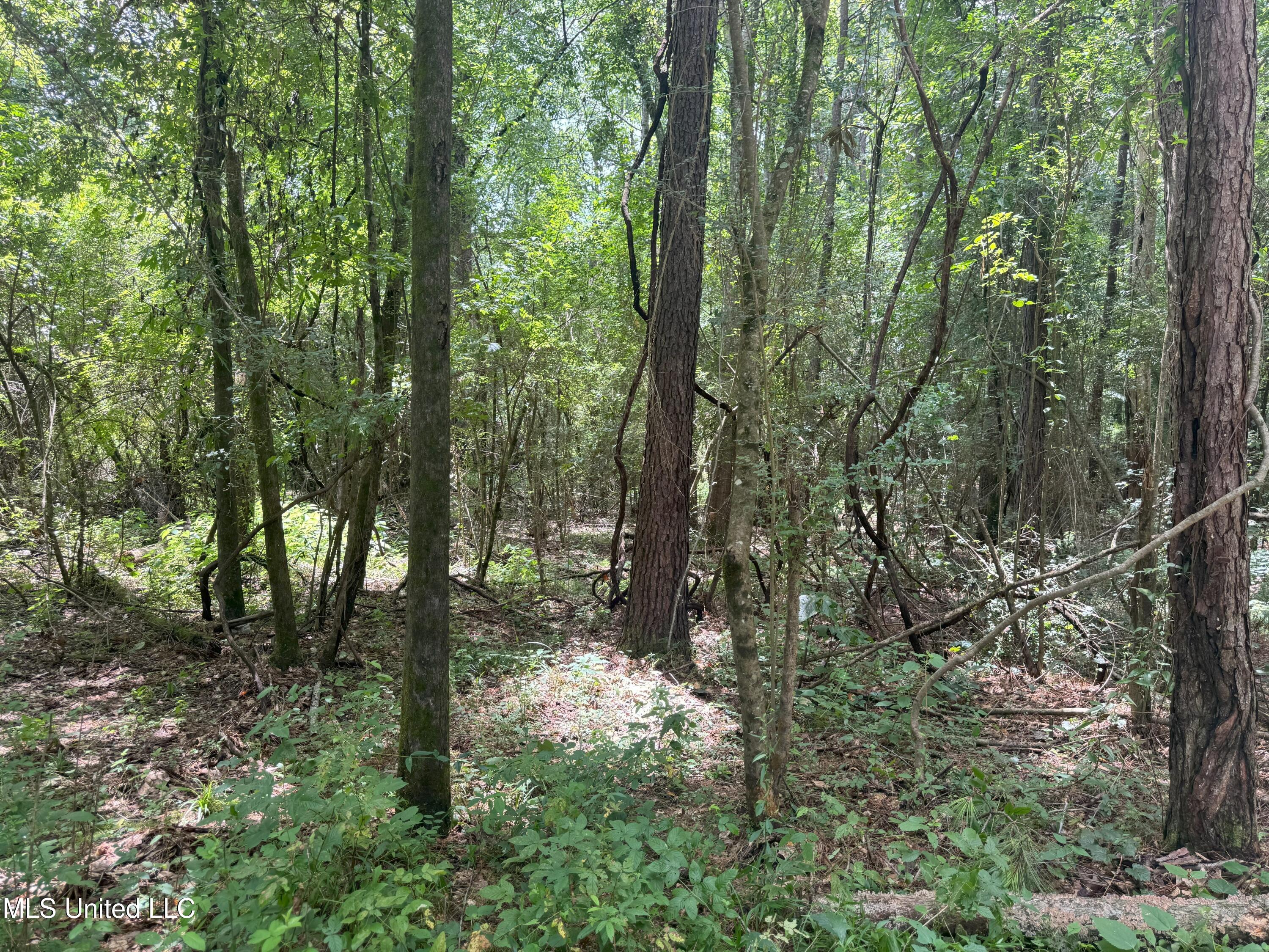 Beltline Drive Brookhaven, MS 39601 - Photo 11 of 26 IMG_5017