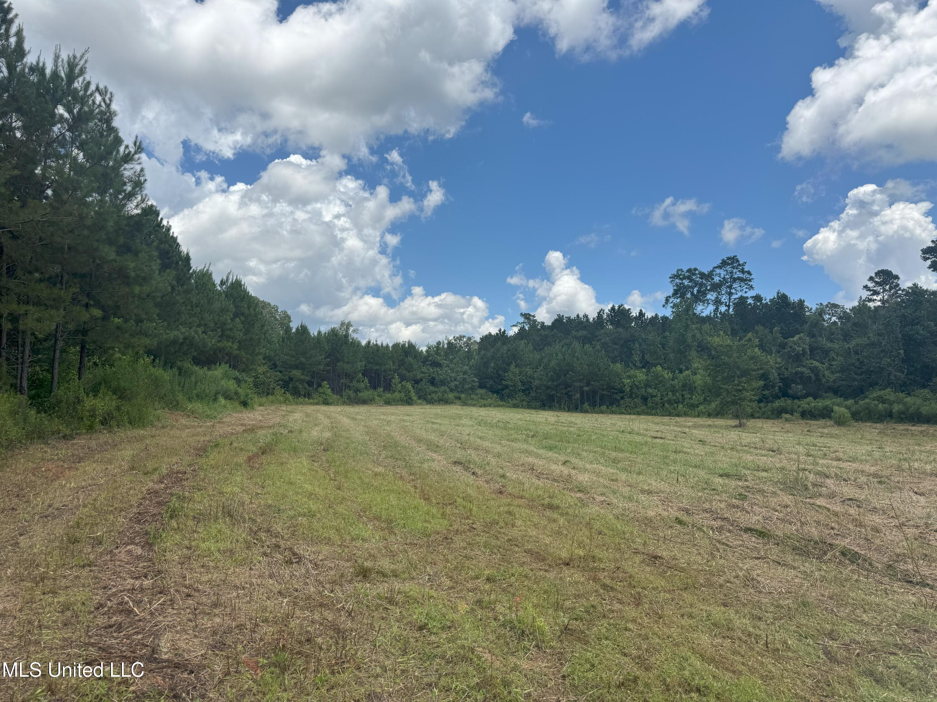 Beltline Drive Brookhaven, MS 39601 - Photo 13 of 26 IMG_5019