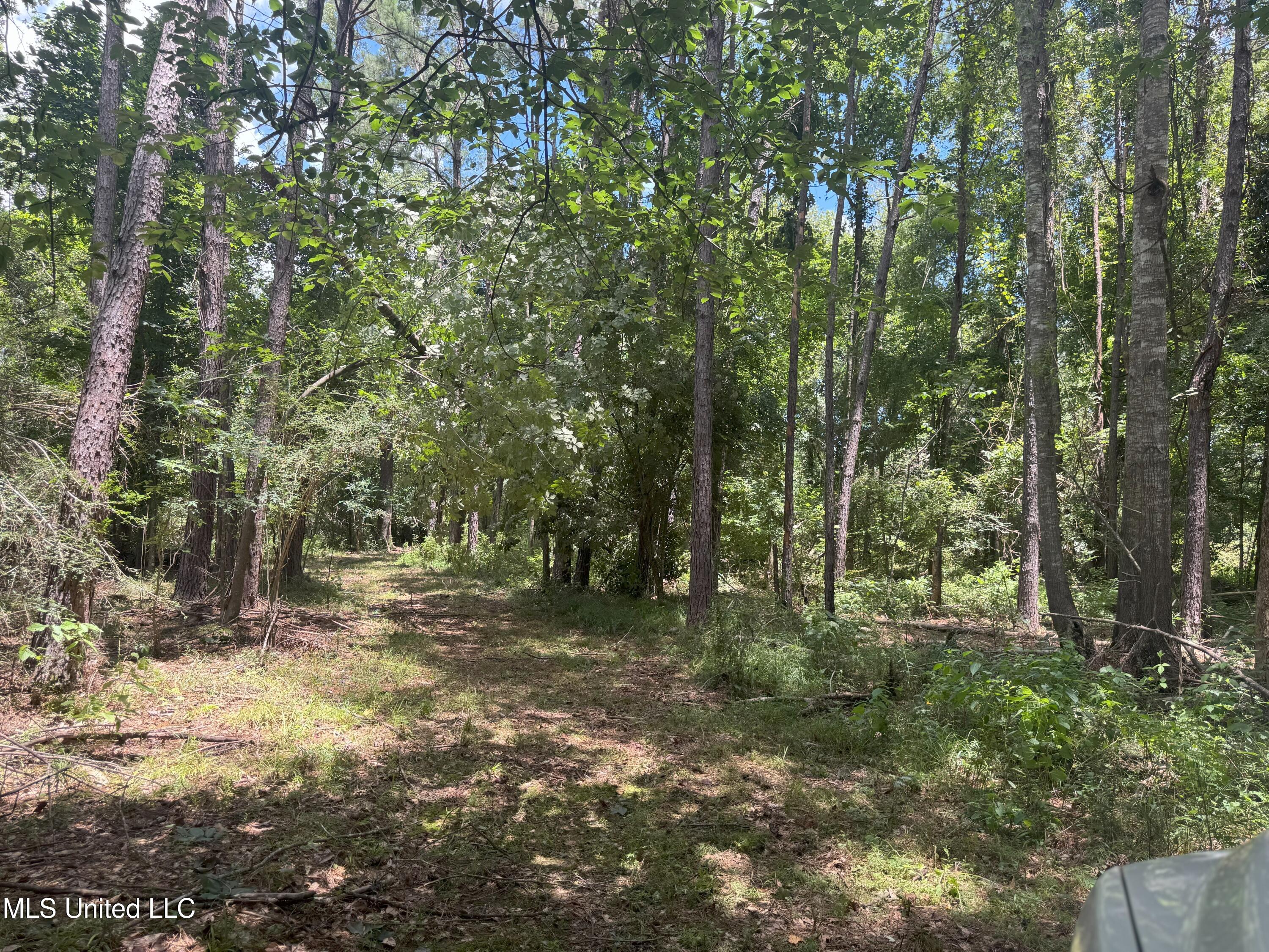 Beltline Drive Brookhaven, MS 39601 - Photo 14 of 26 IMG_5021