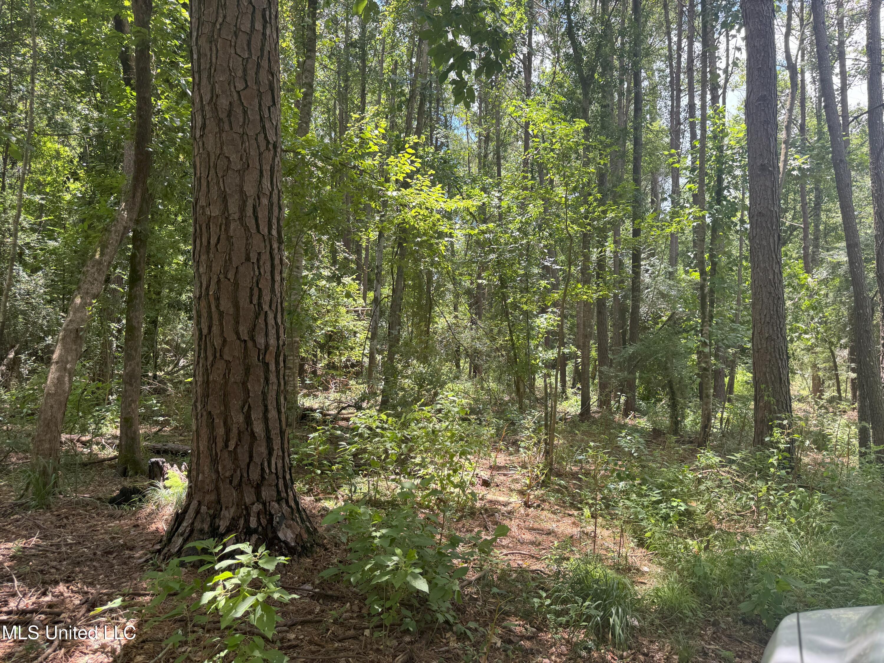 Beltline Drive Brookhaven, MS 39601 - Photo 15 of 26 IMG_5022