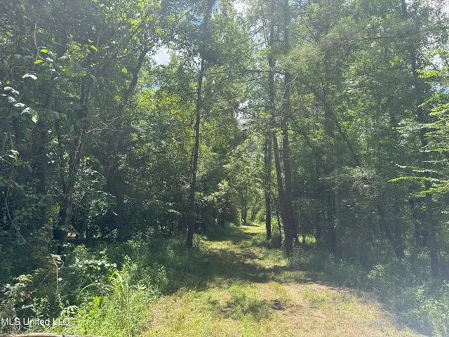 $547,200 | Beltline Drive, Brookhaven, MS 39601