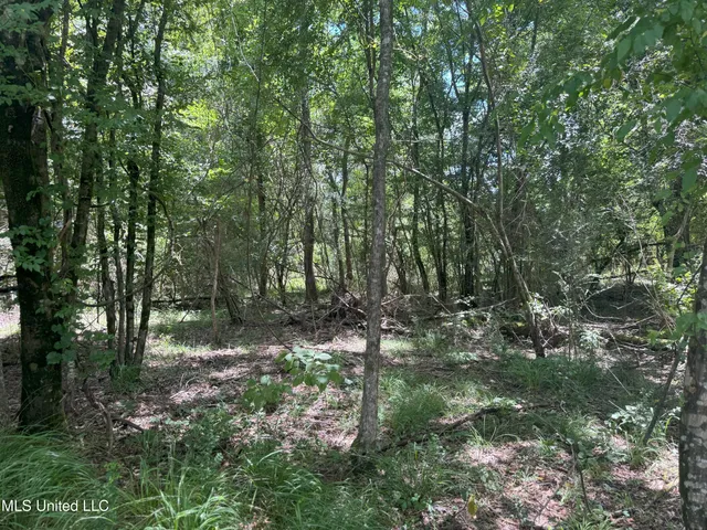 $547,200 | Beltline Drive, Brookhaven, MS 39601