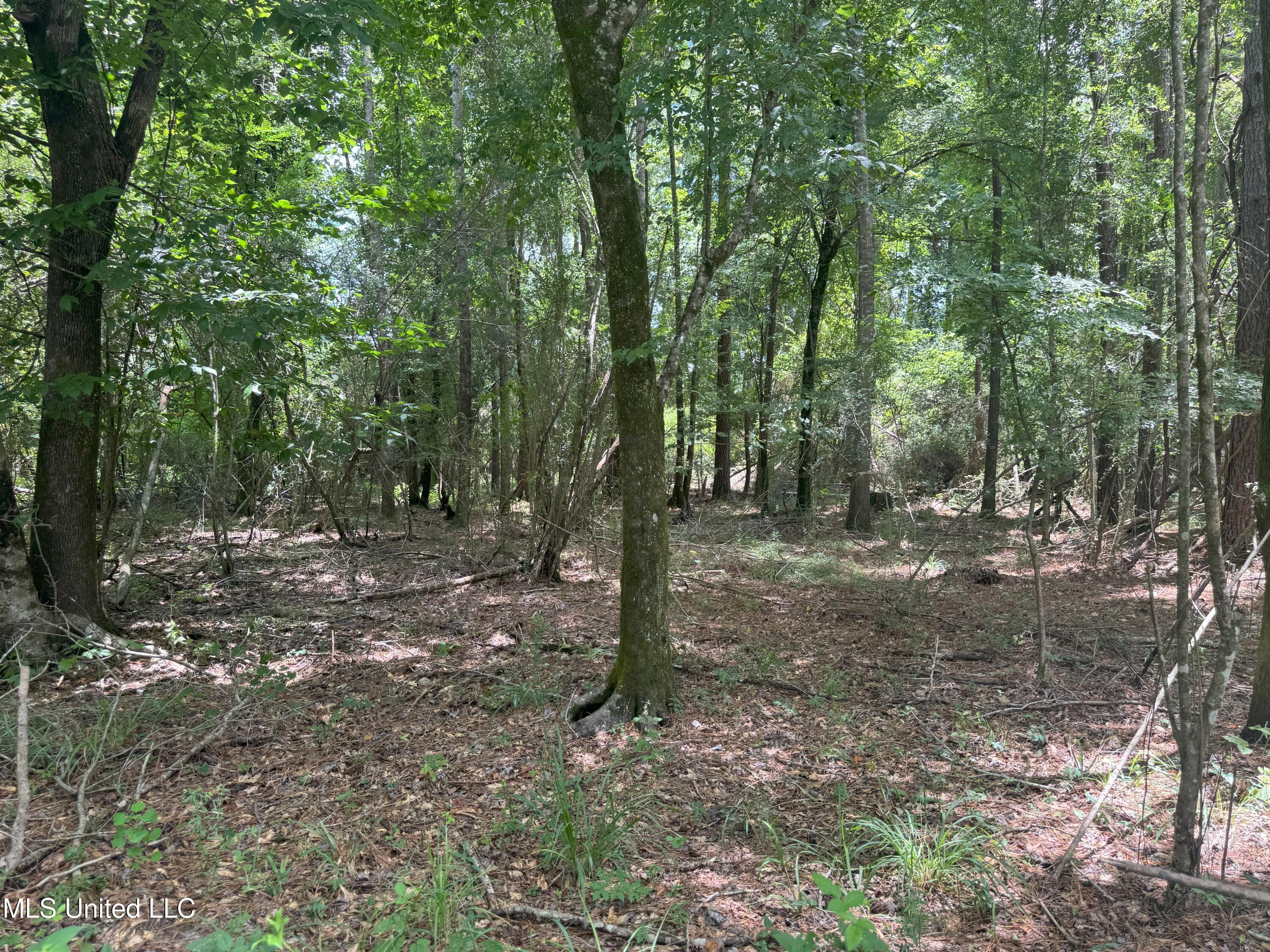 Beltline Drive Brookhaven, MS 39601 - Photo 18 of 26 IMG_5025