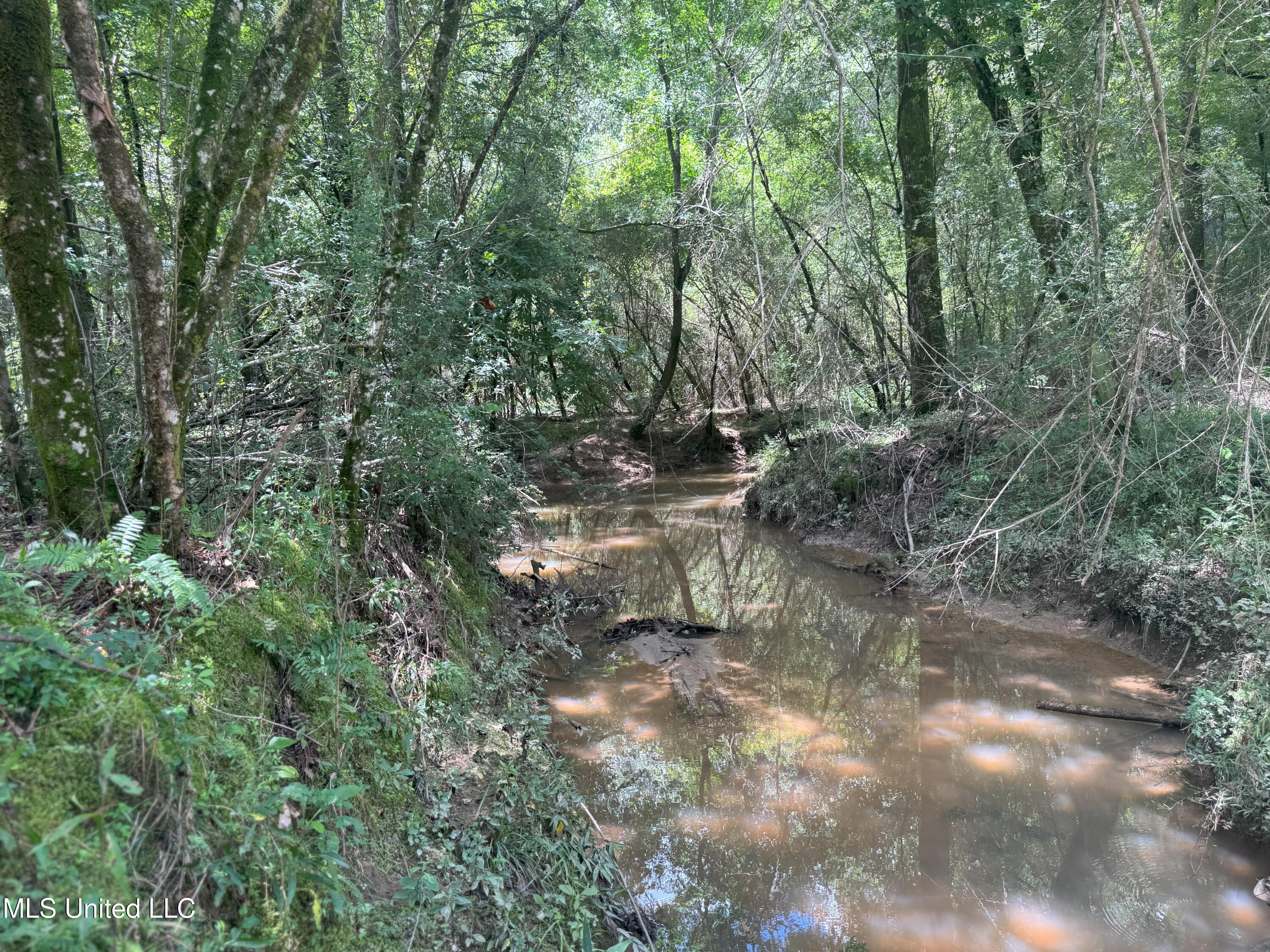 Beltline Drive Brookhaven, MS 39601 - Photo 19 of 26 IMG_5026