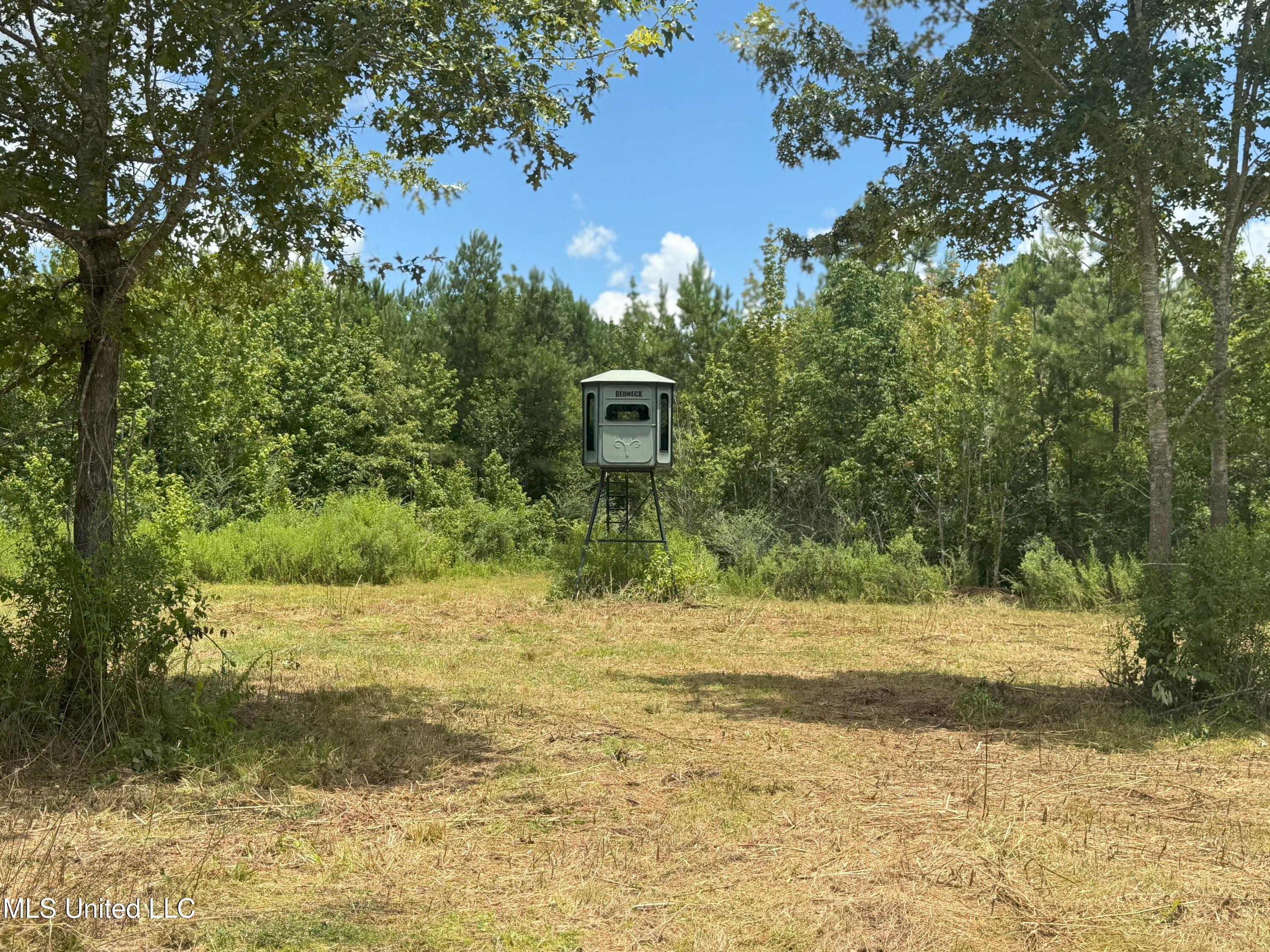 Beltline Drive Brookhaven, MS 39601 - Photo 21 of 26 IMG_5030
