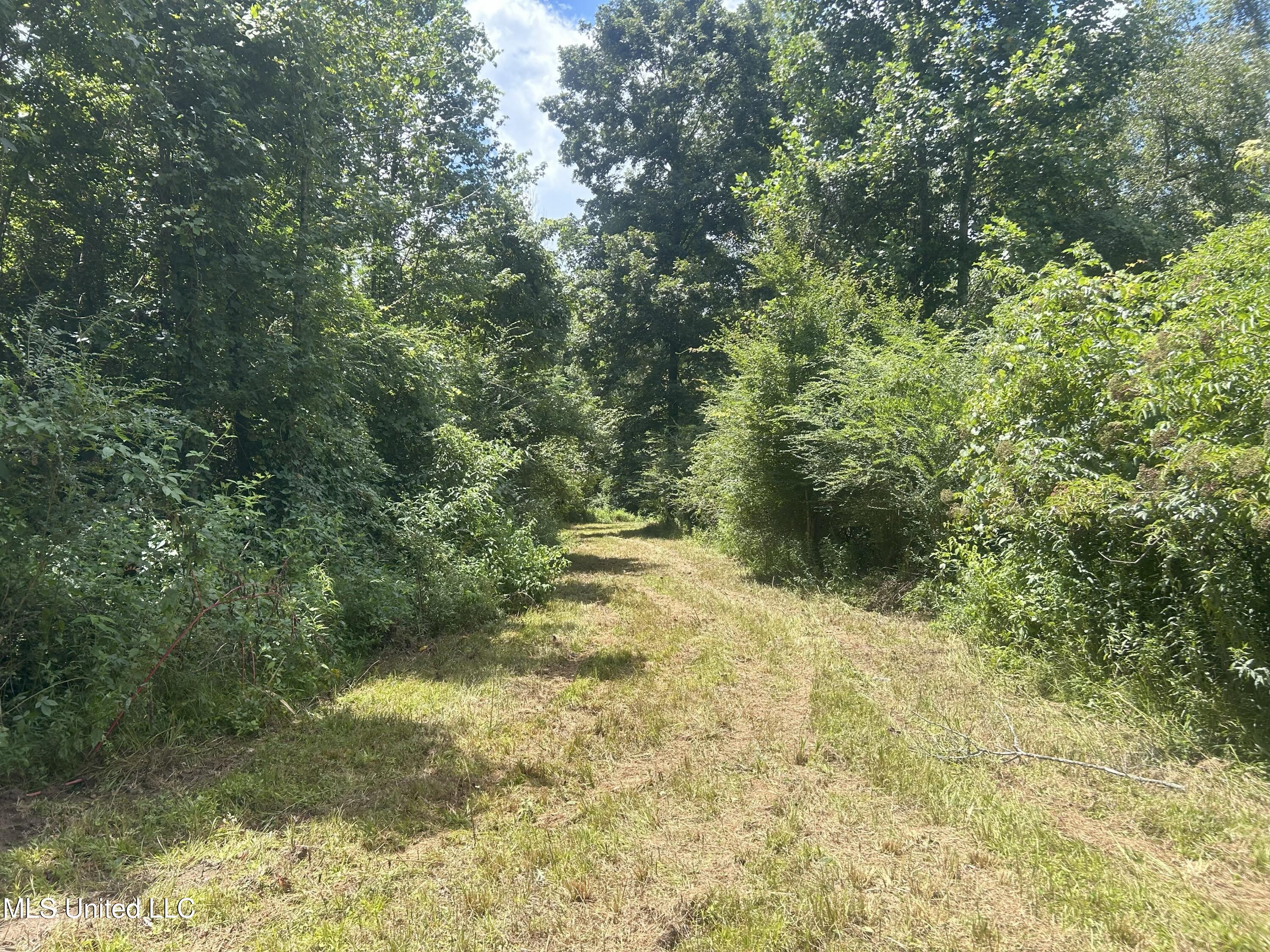 Beltline Drive Brookhaven, MS 39601 - Photo 23 of 26 IMG_5032