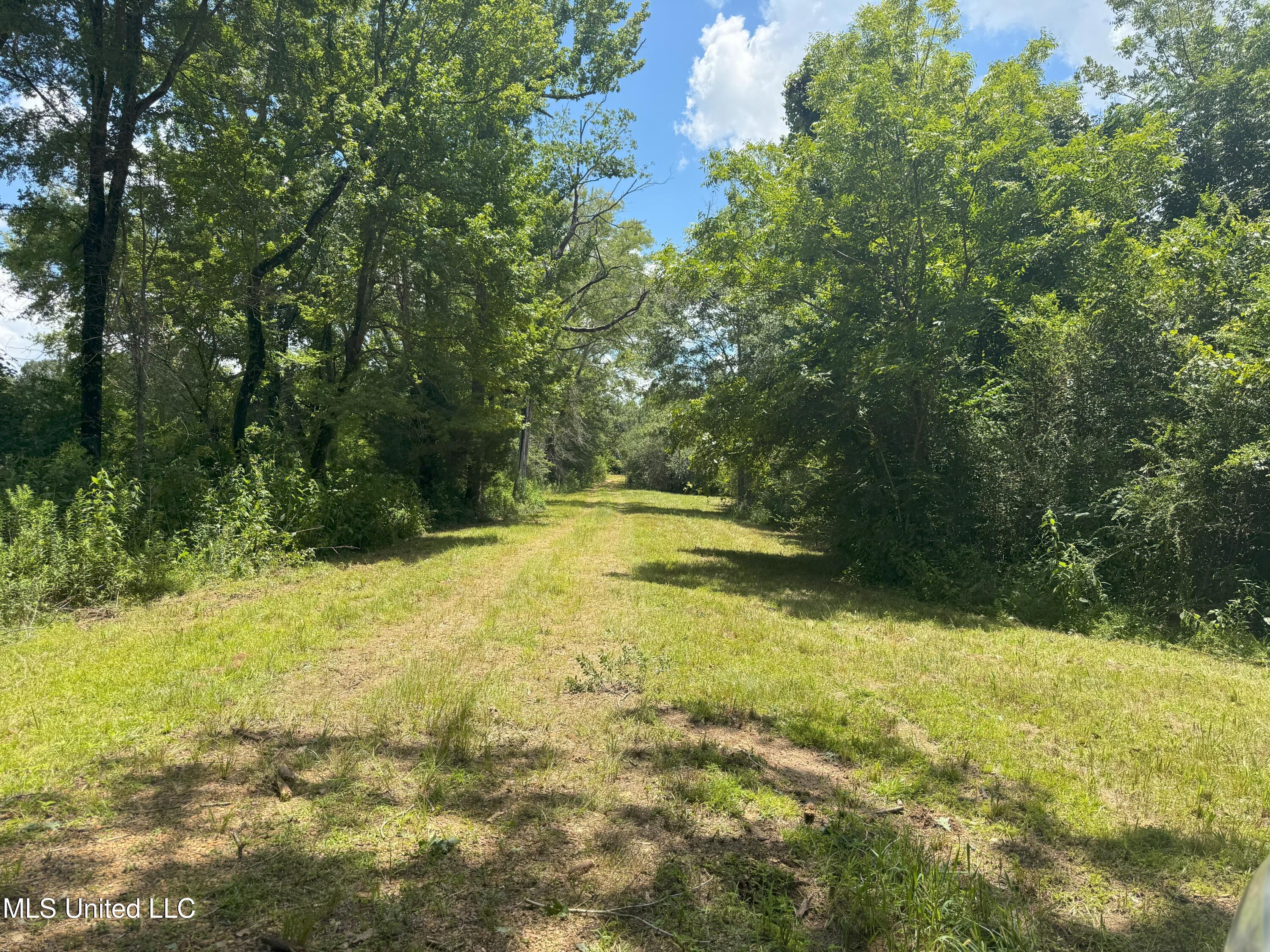 Beltline Drive Brookhaven, MS 39601 - Photo 4 of 26 IMG_5009