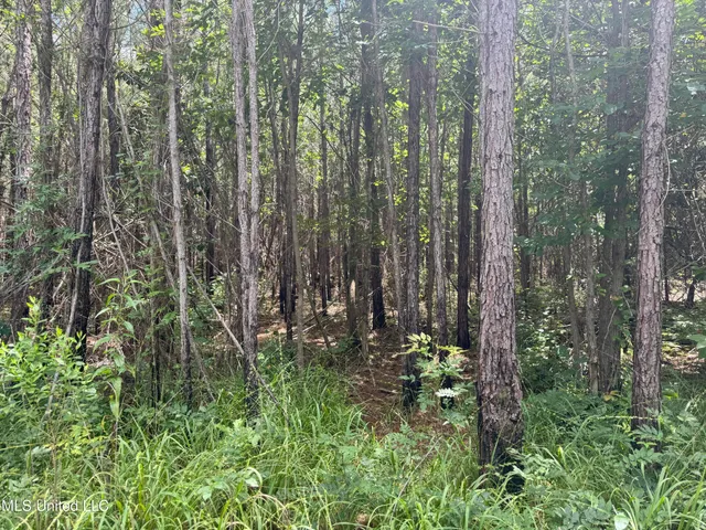 $547,200 | Beltline Drive, Brookhaven, MS 39601